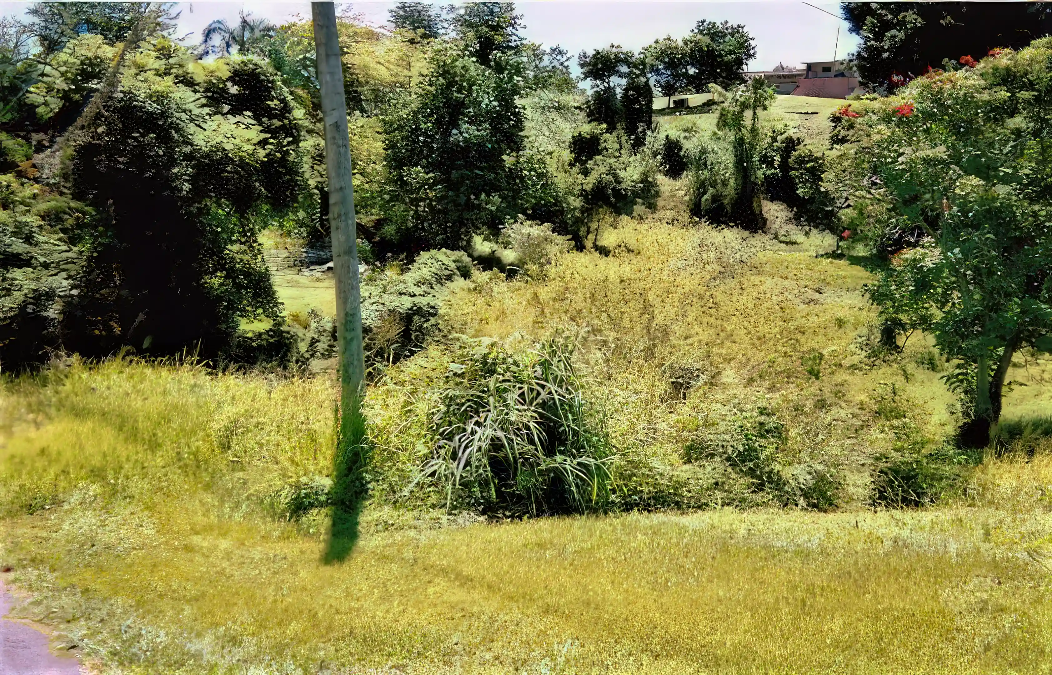 Unimproved Mountain Top Land for Sale in Pr445, Km 2.0 Int., Barrio