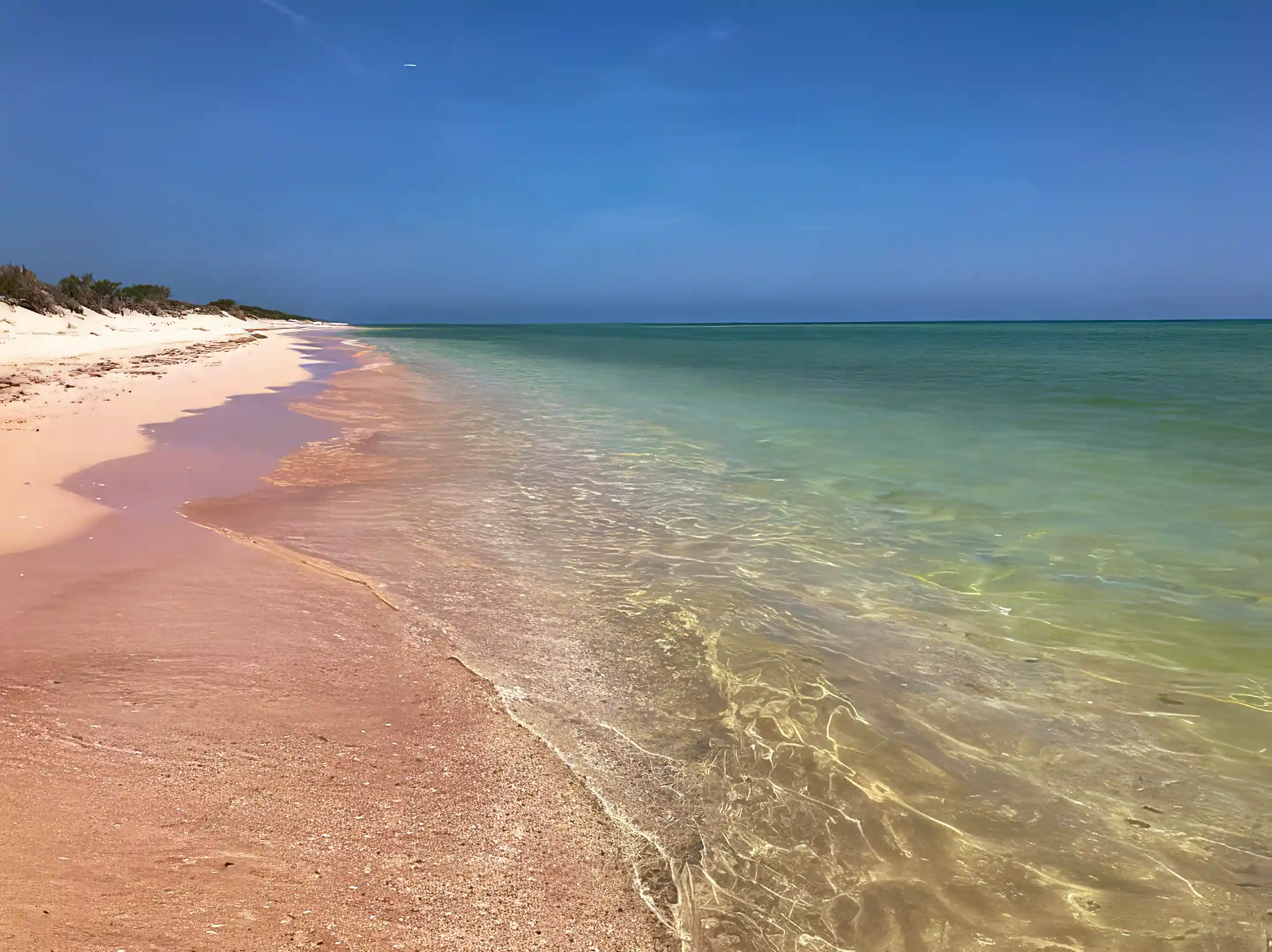 Beachfront Lot for Sale in Merida, Yucatan, Mexico Viviun