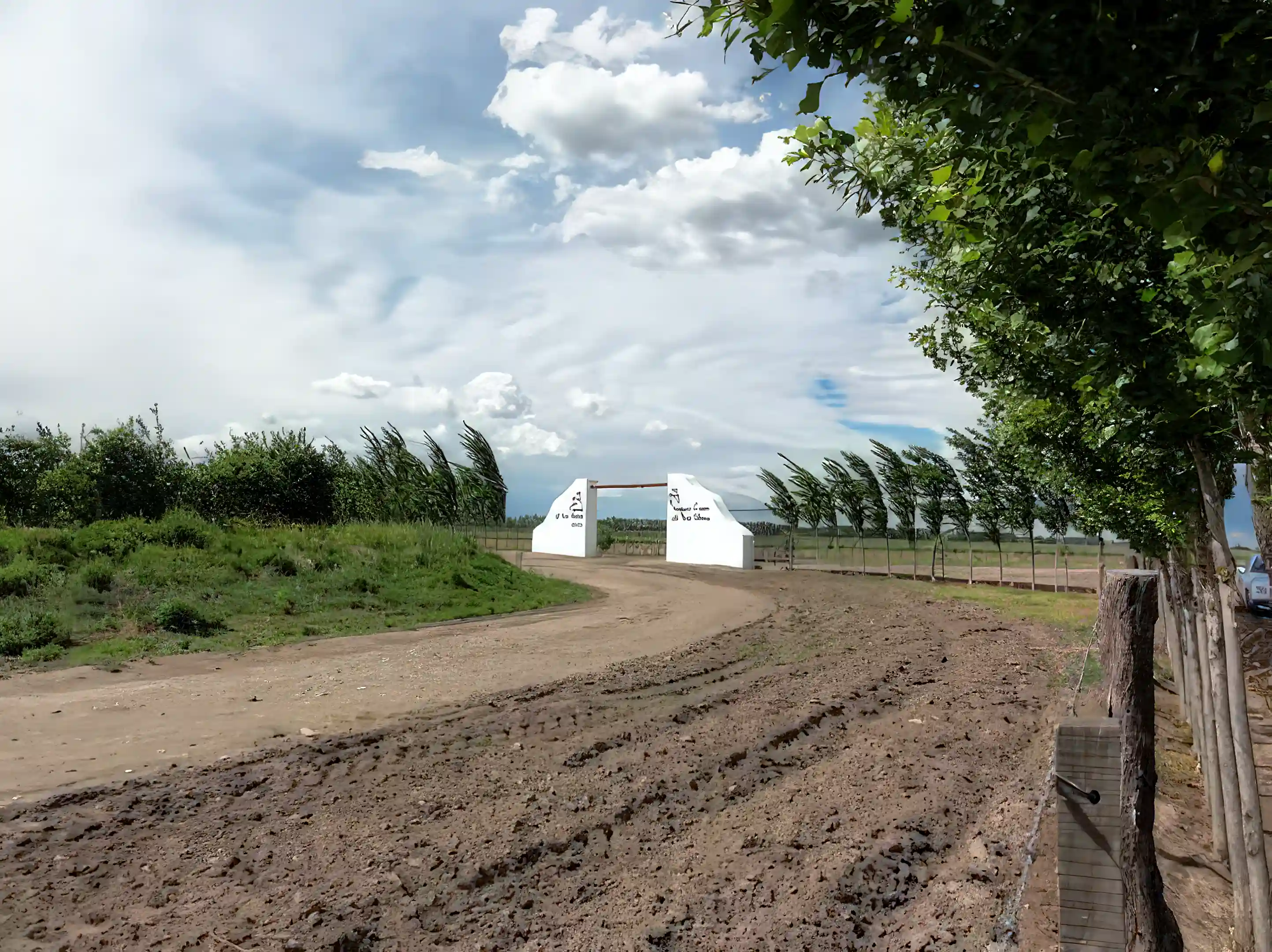 Two major highways lead to the La Vida Buena Vineyards.