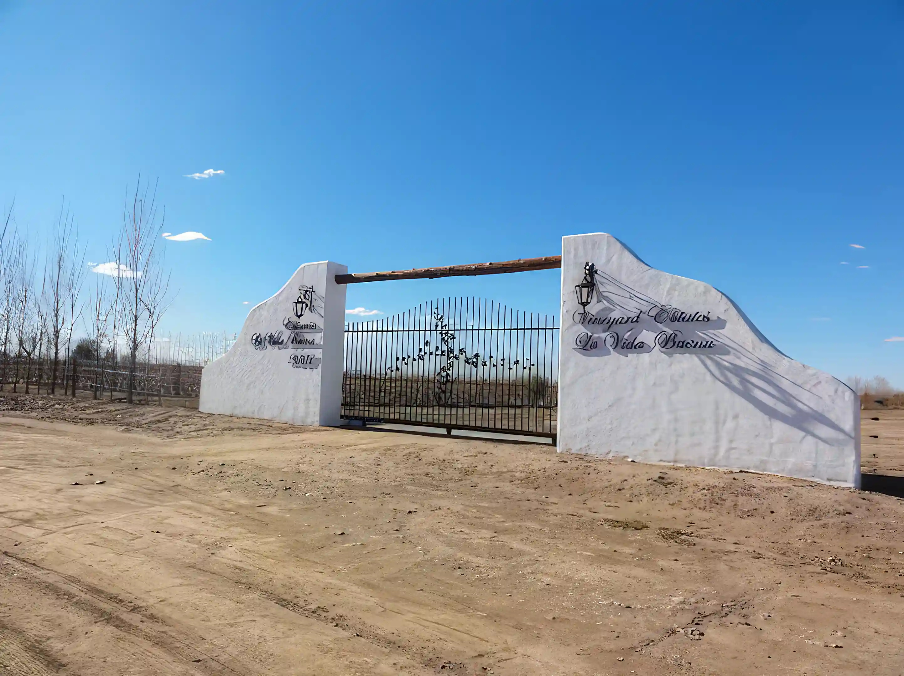 Vineyard for Sale in San Rafael, Mendoza, Argentina