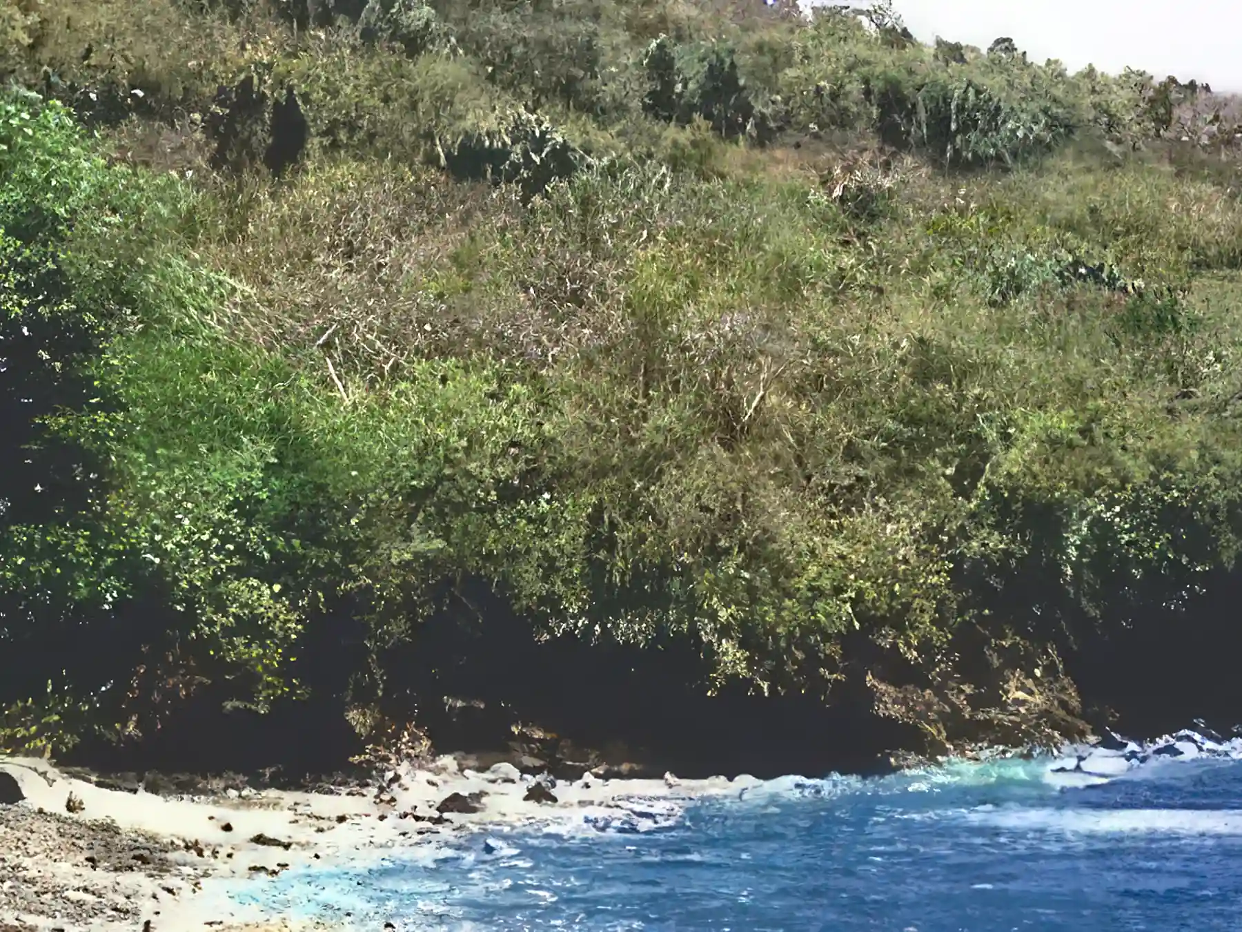 Lot/Land for Sale in St. Lucia Viviun