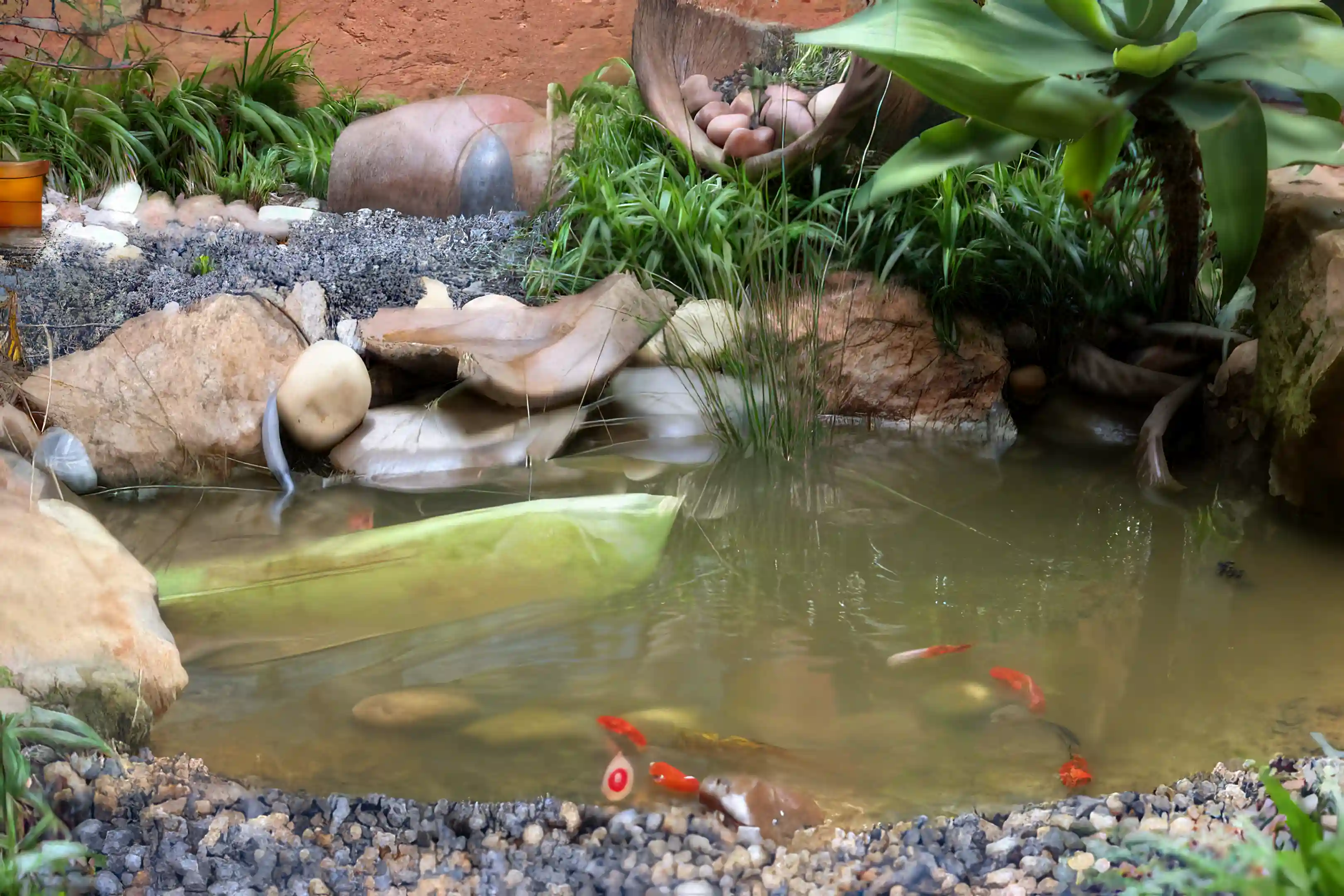 Fish pond off covered patio/terrace