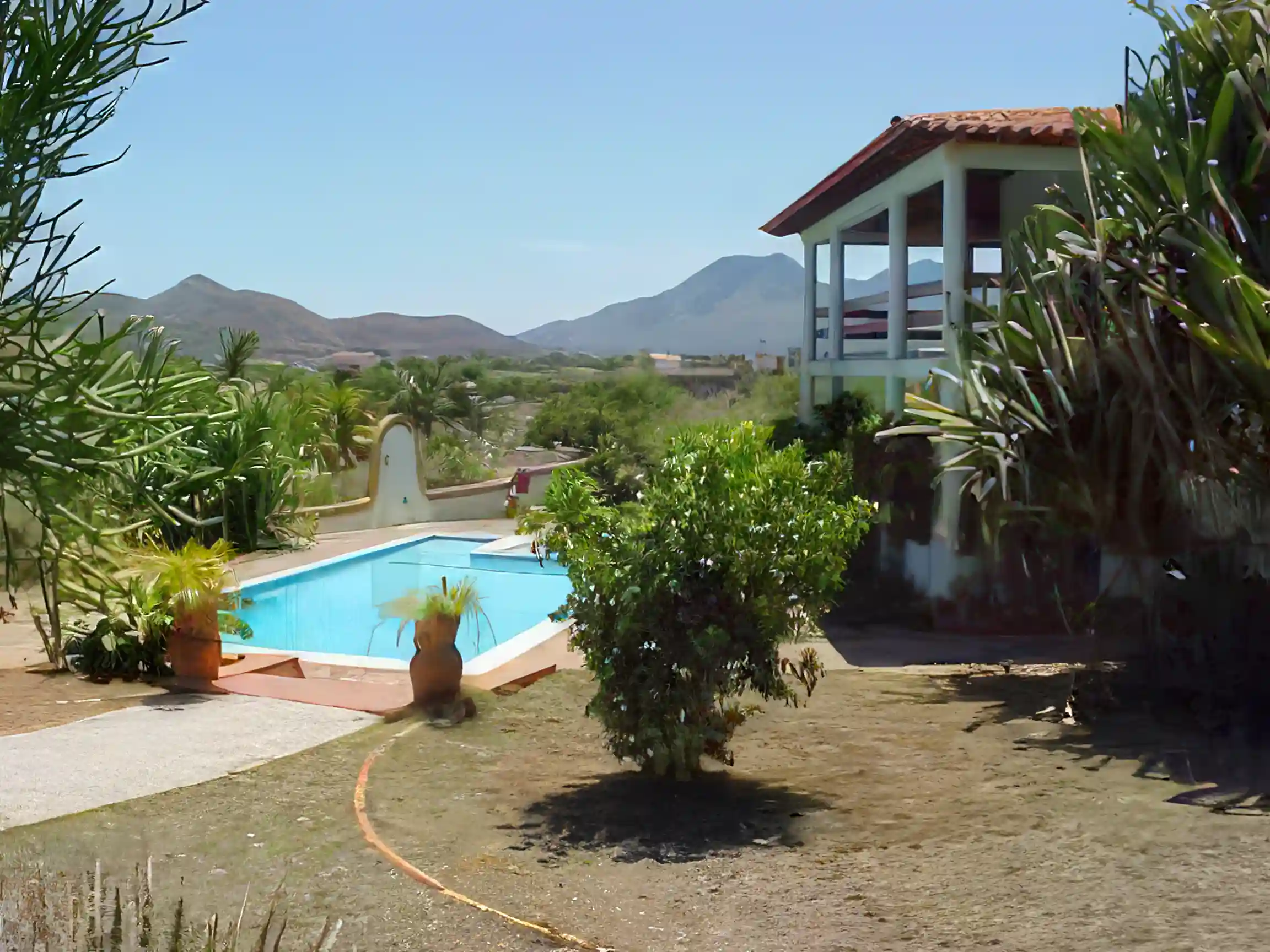 house from garden