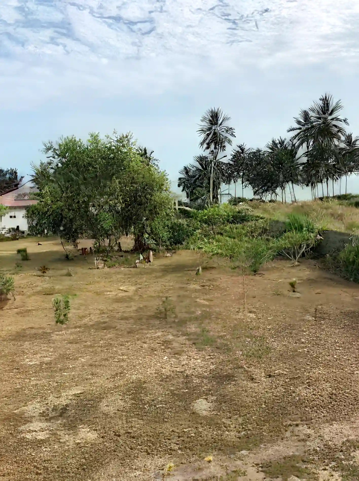 Oceanfront Lots for Sale in Elmina, Central Region, Ghana