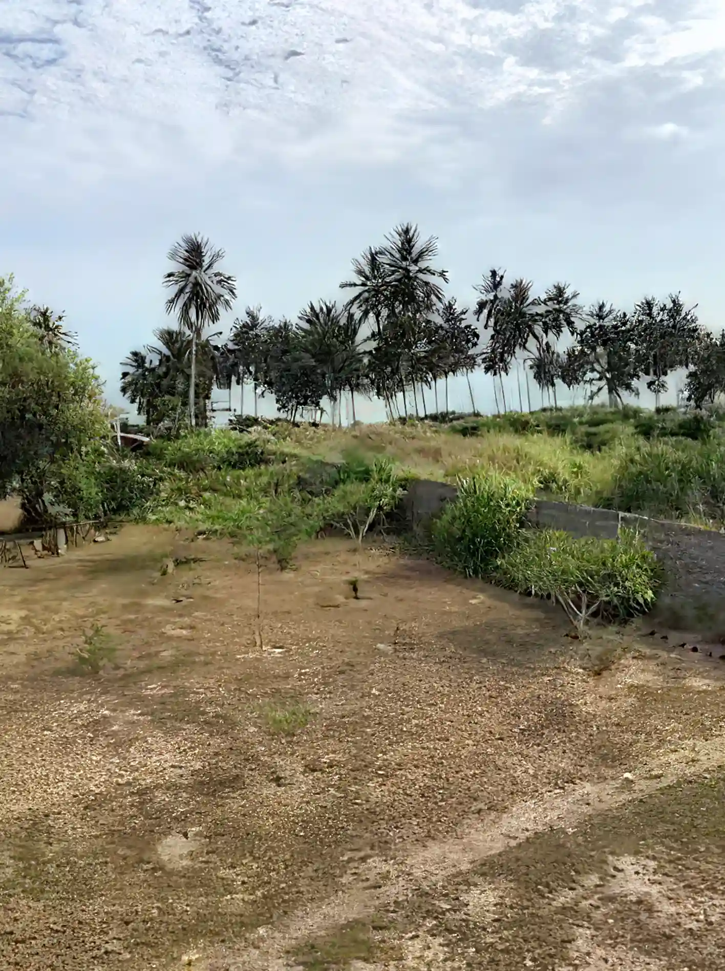 Oceanfront Lots for Sale in Elmina, Central Region, Ghana