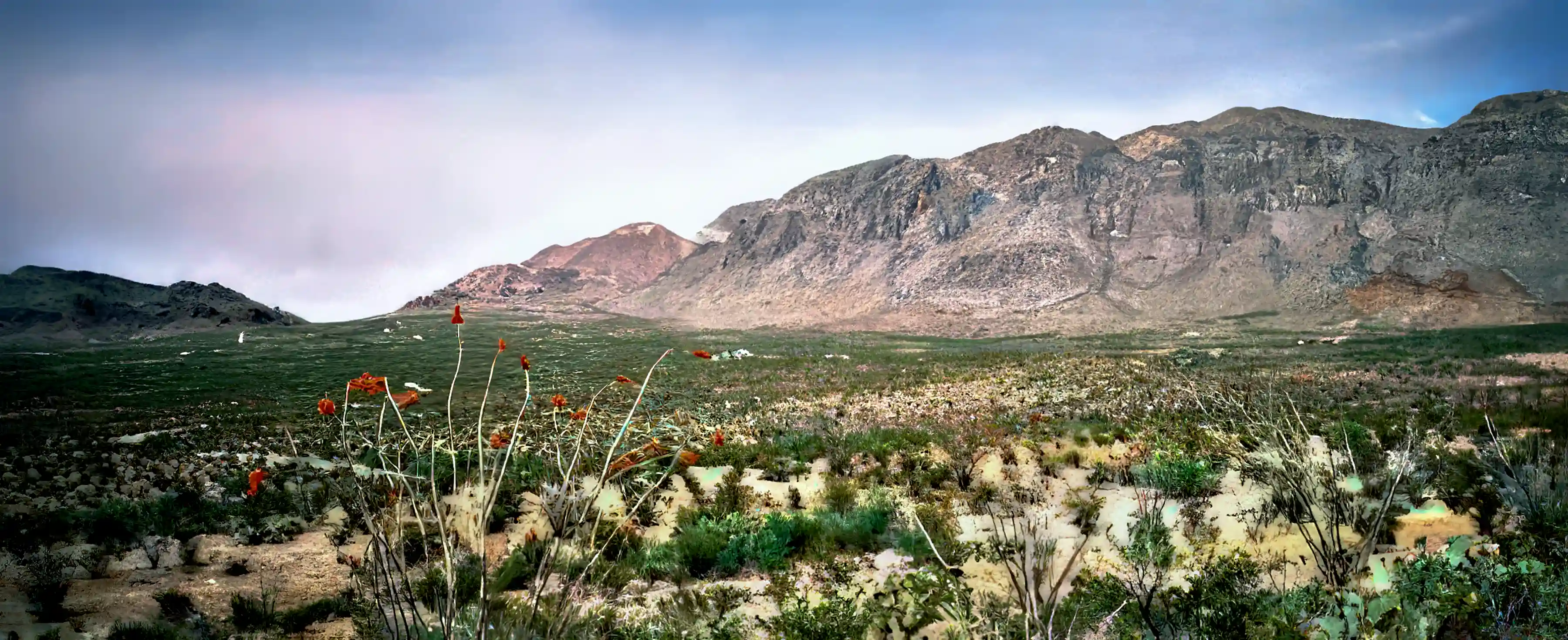 Farm/Ranch for Sale in Texas, USA