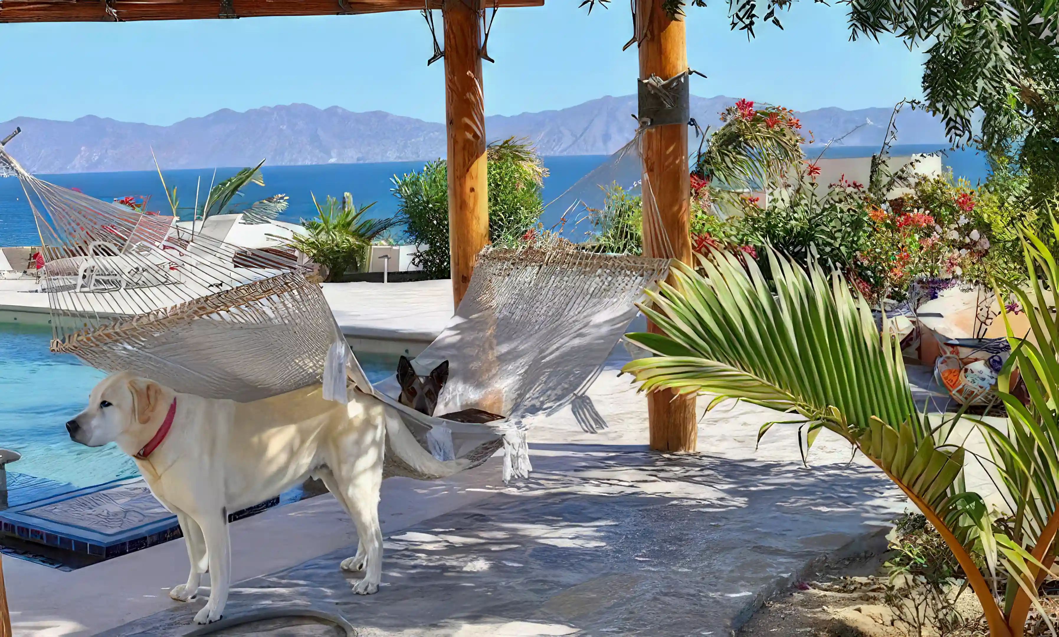 Land for Sale in La Ventana, Baja Sur, Mexico