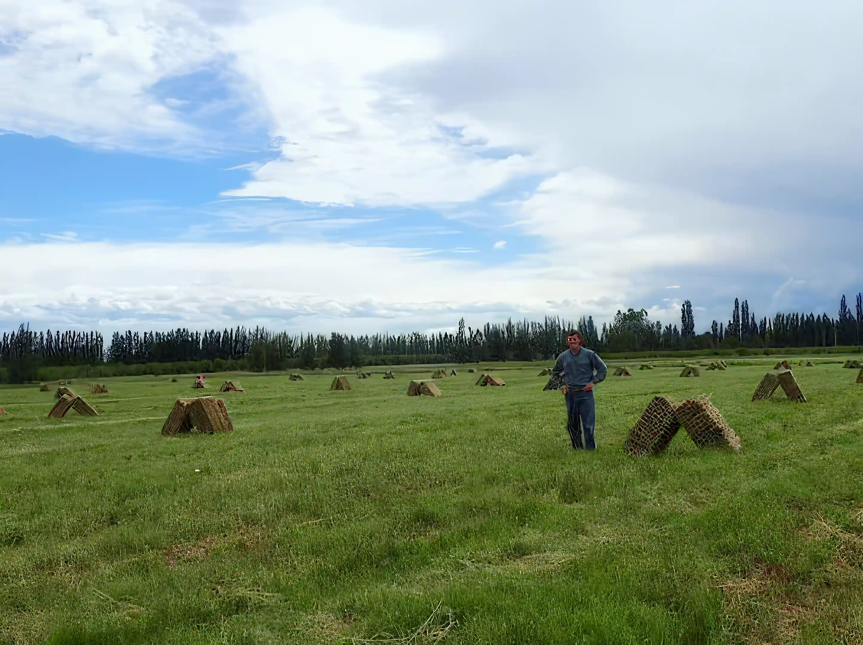Farm/Ranch for Sale in San Rafael, Mendoza, Argentina Viviun