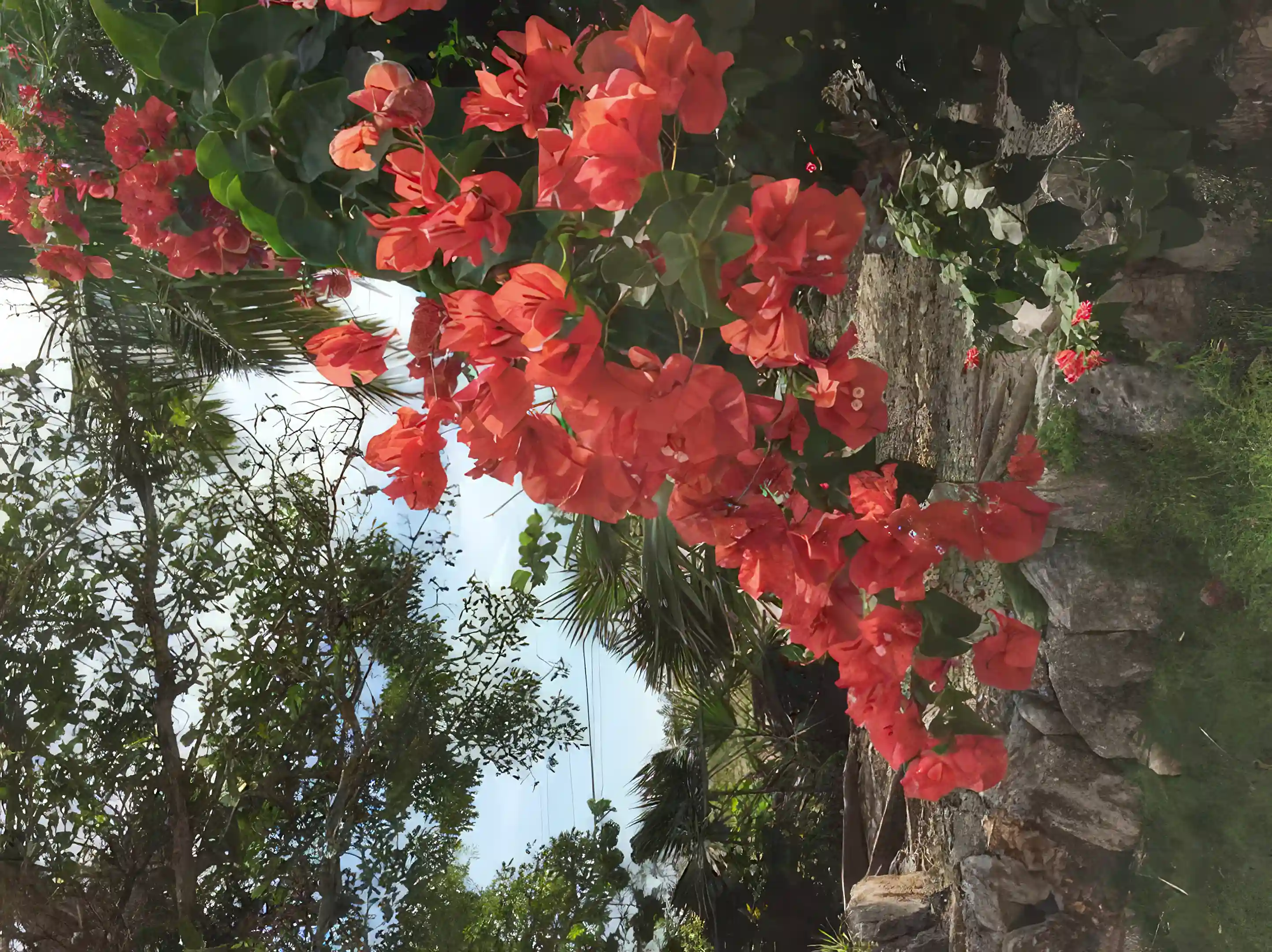 Ocean Front Home for Sale in Marsh Harbour, Bahamas