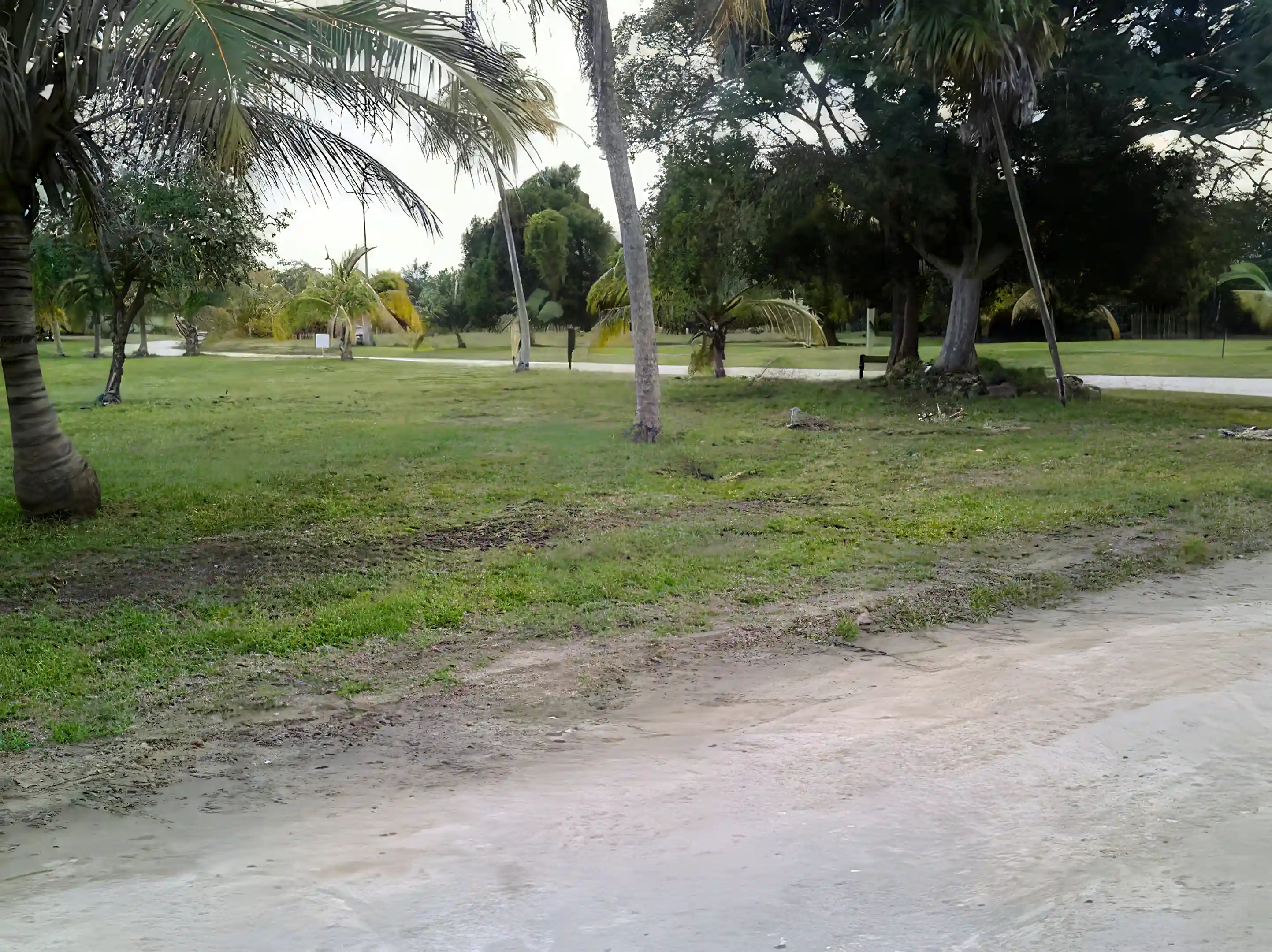 Lot 906