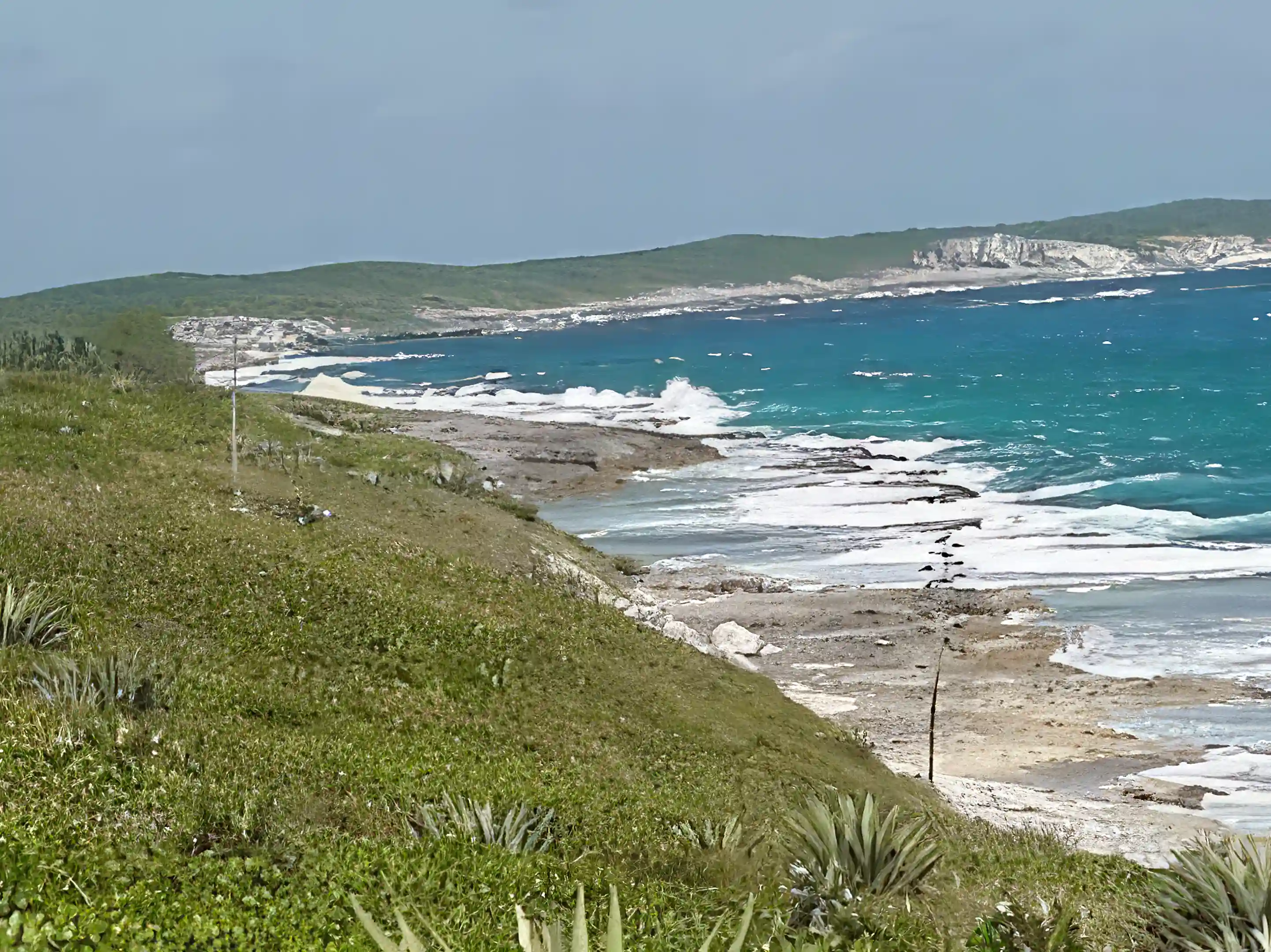 Stella Maris Coastline
