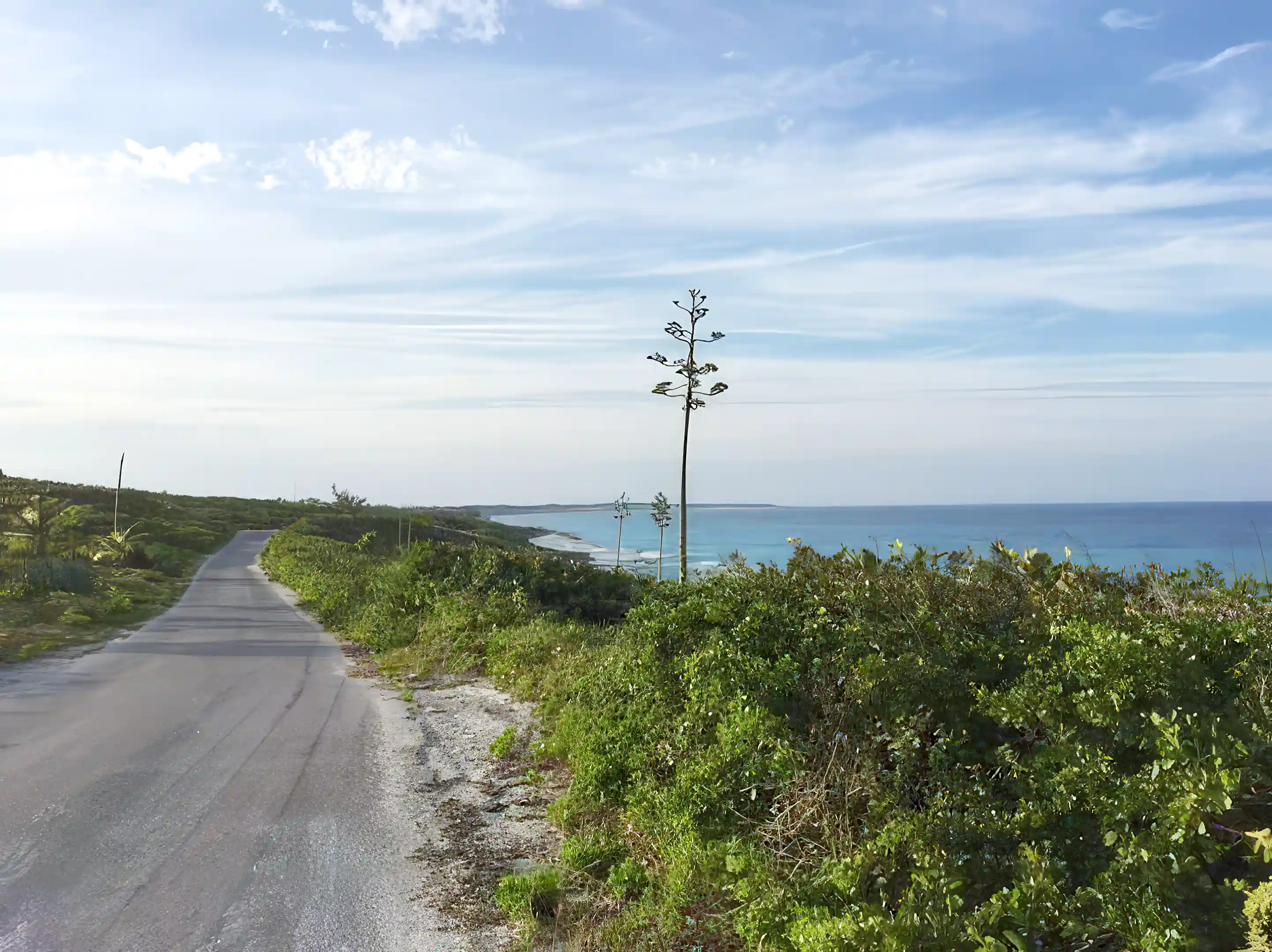 Ocean View Drive