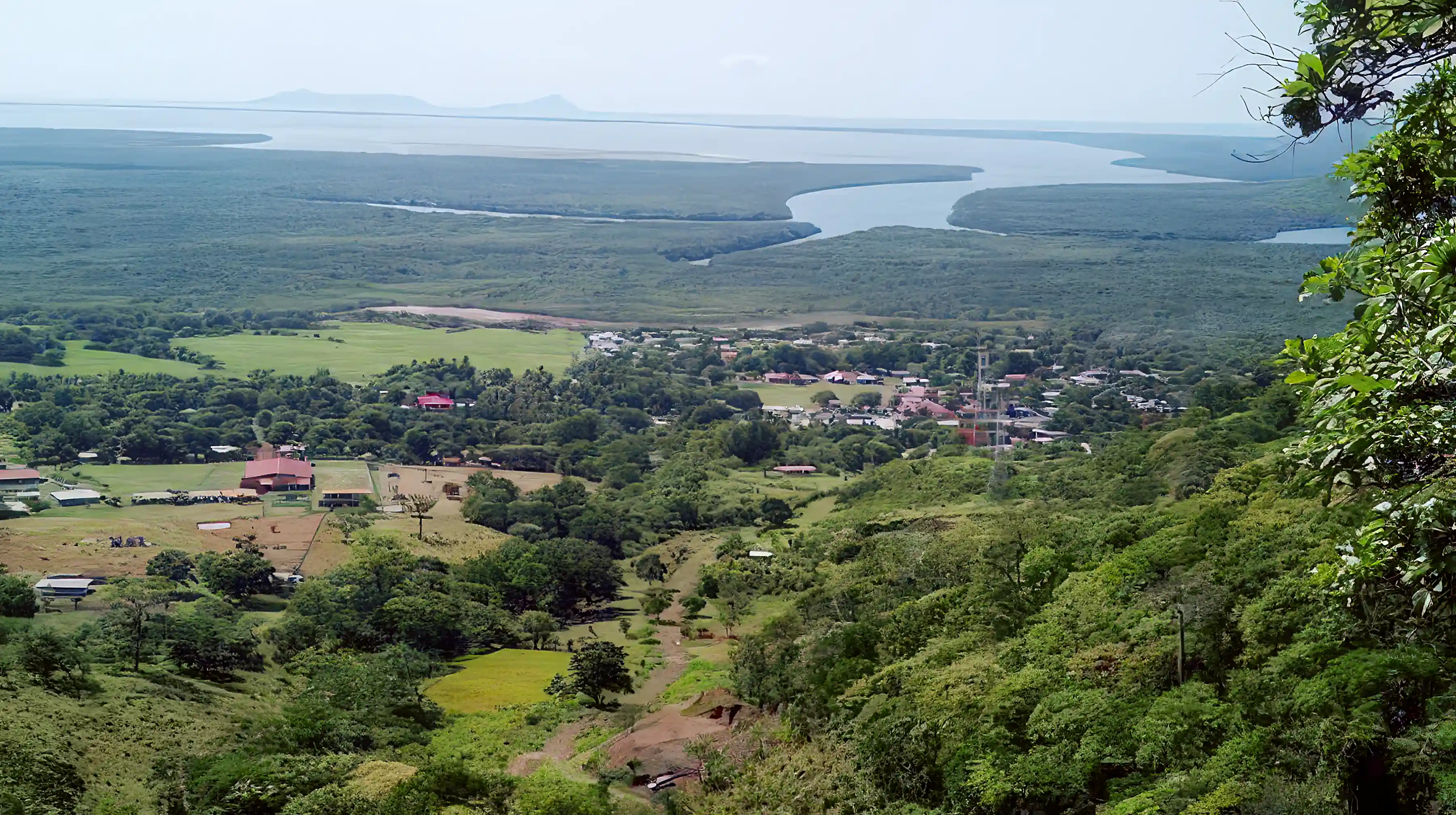 Farmland for Sale in Penonome, Cocle, Panama
