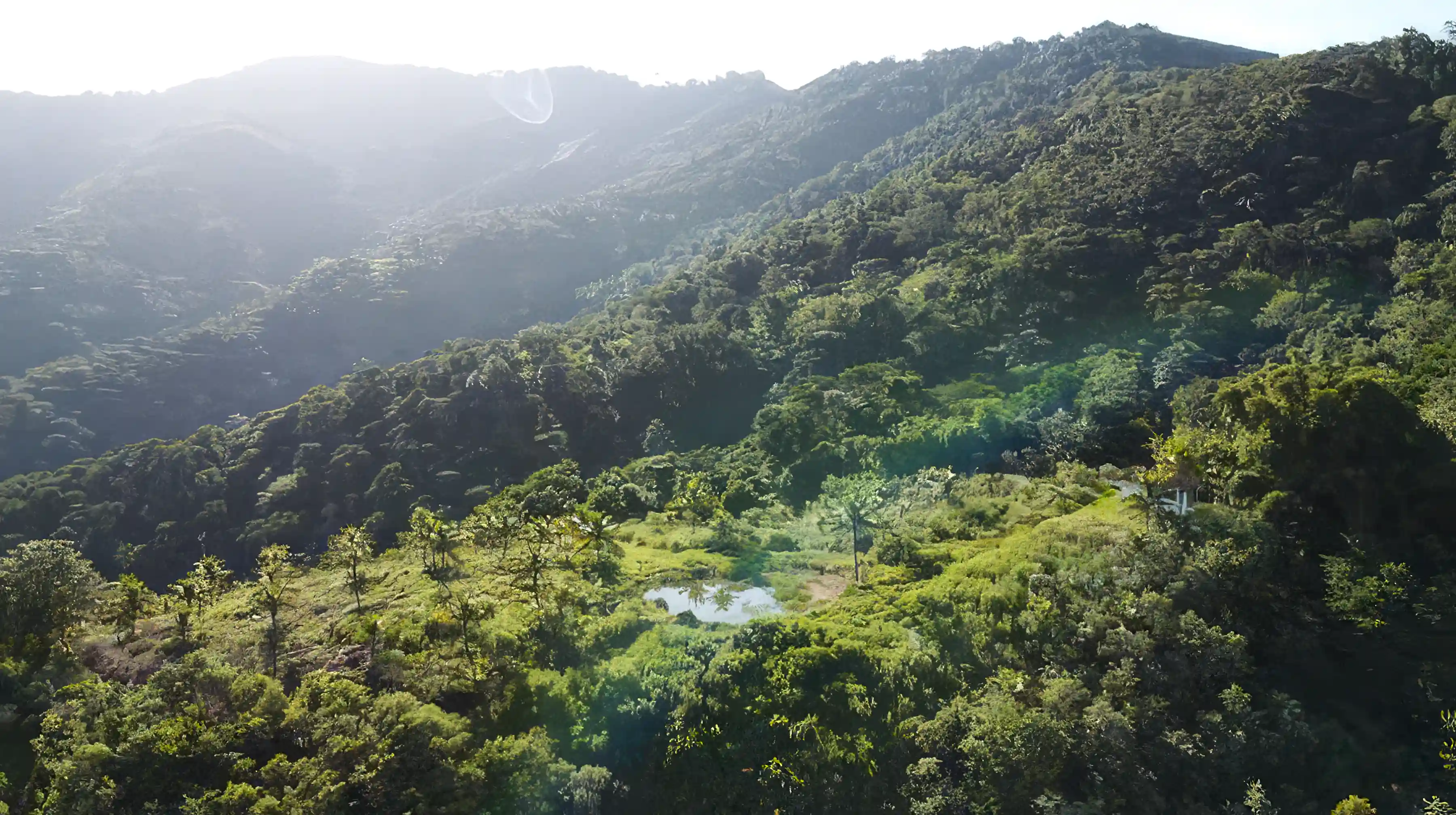 52 Acre Farmland for Sale in Saquarema, Rio De Janeiro, Brazil