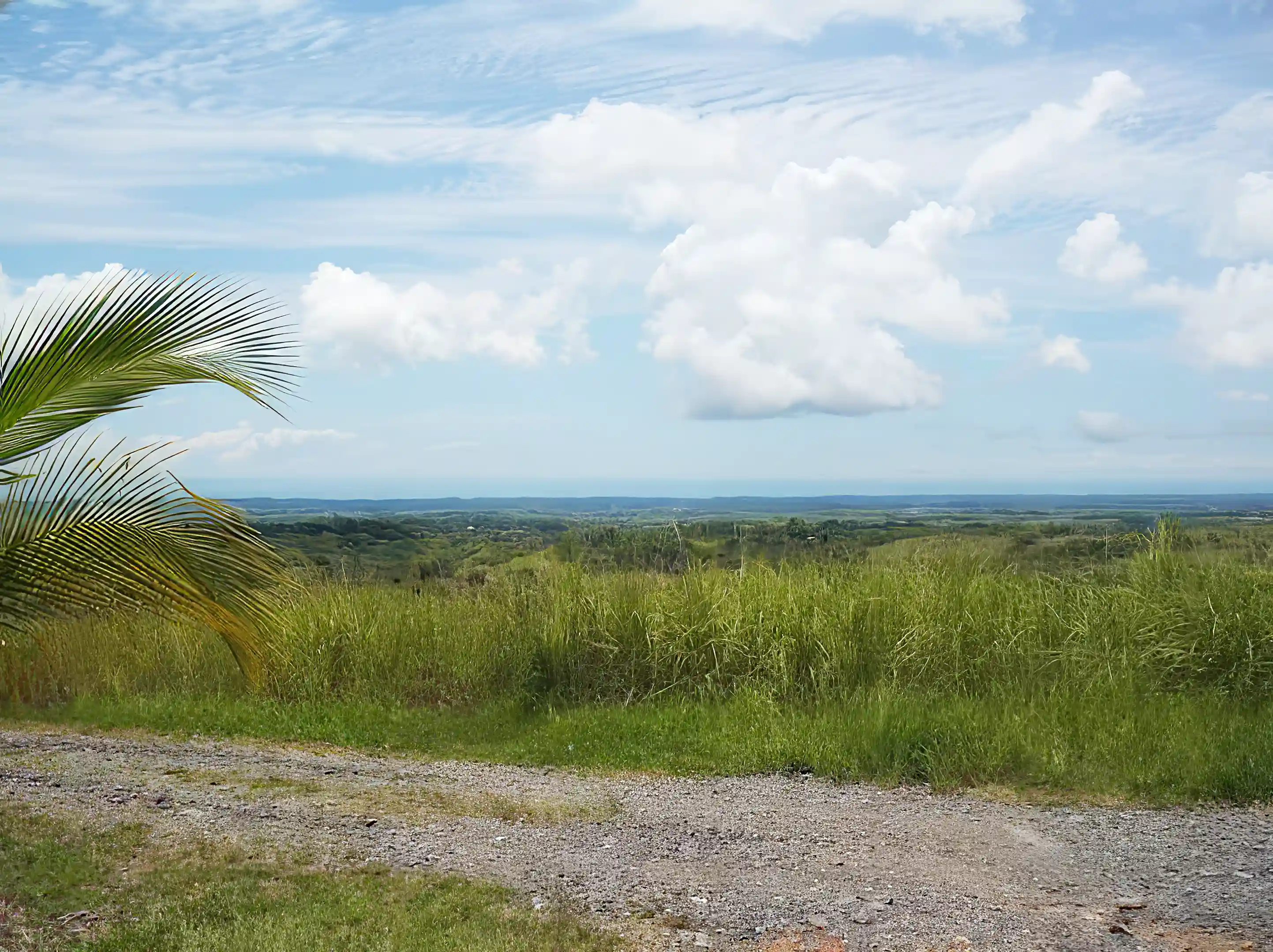 Lot for Sale in Road to El Valle, El Espino, San Carlos, Panama