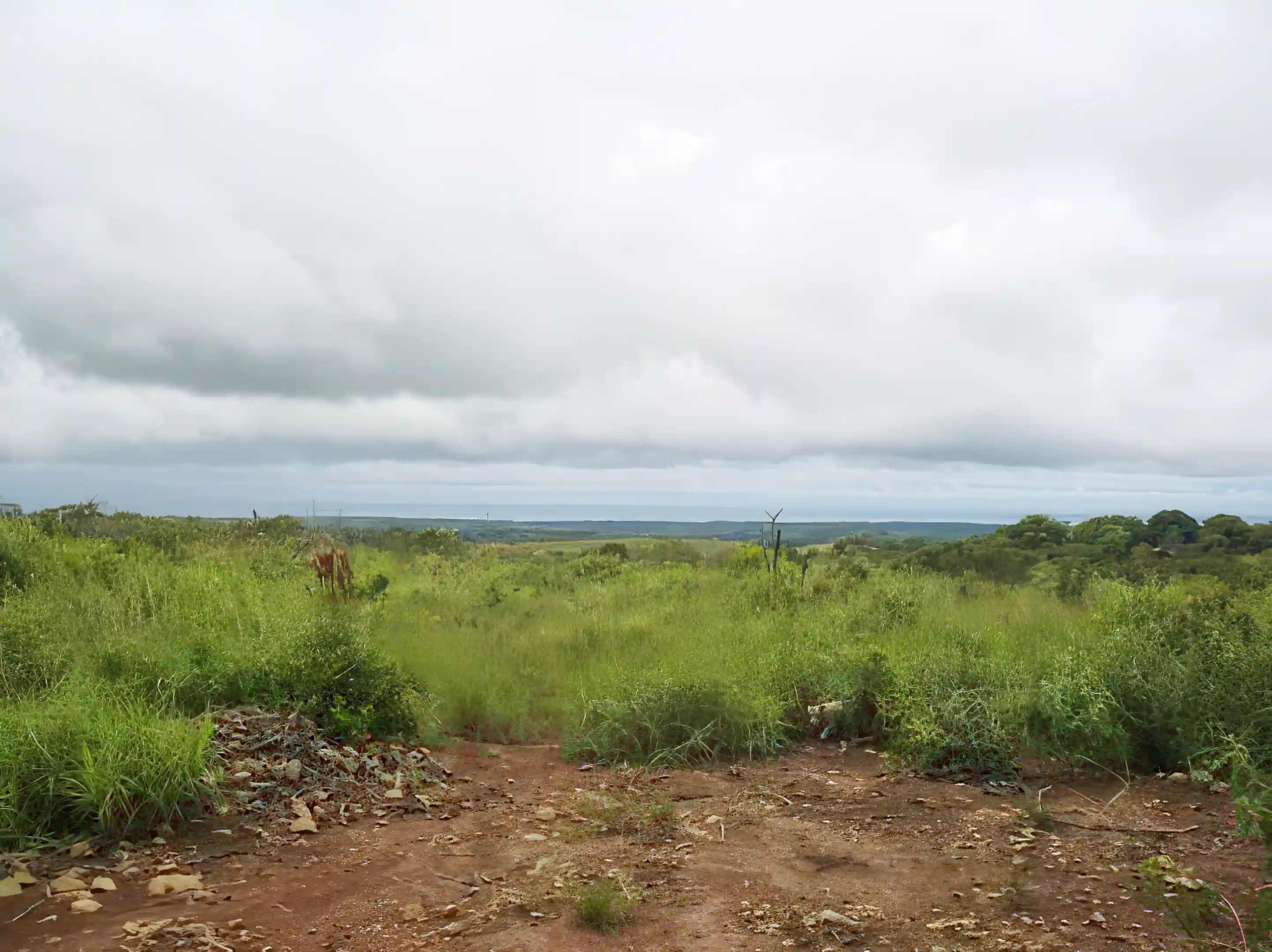 The view looking from the property