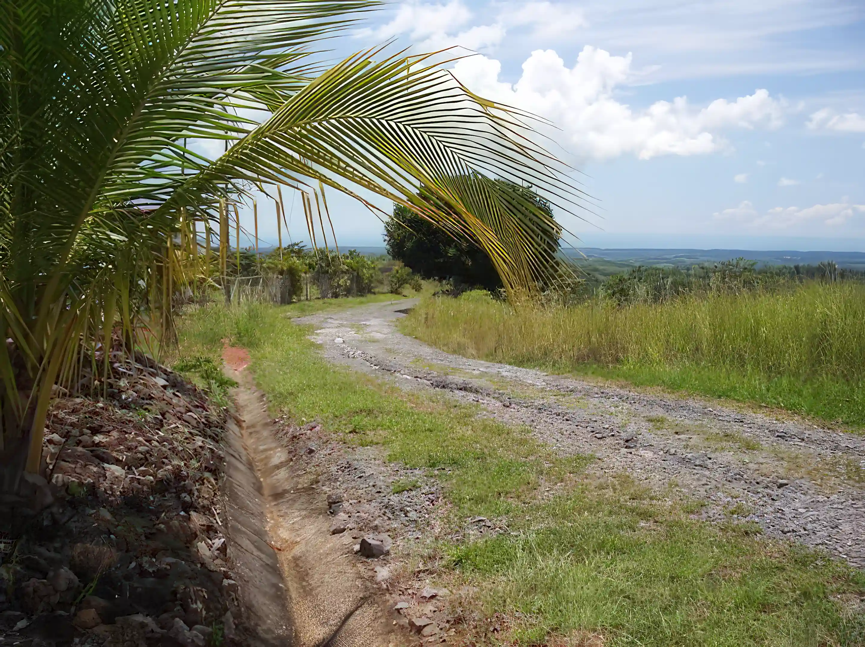 The road to the property