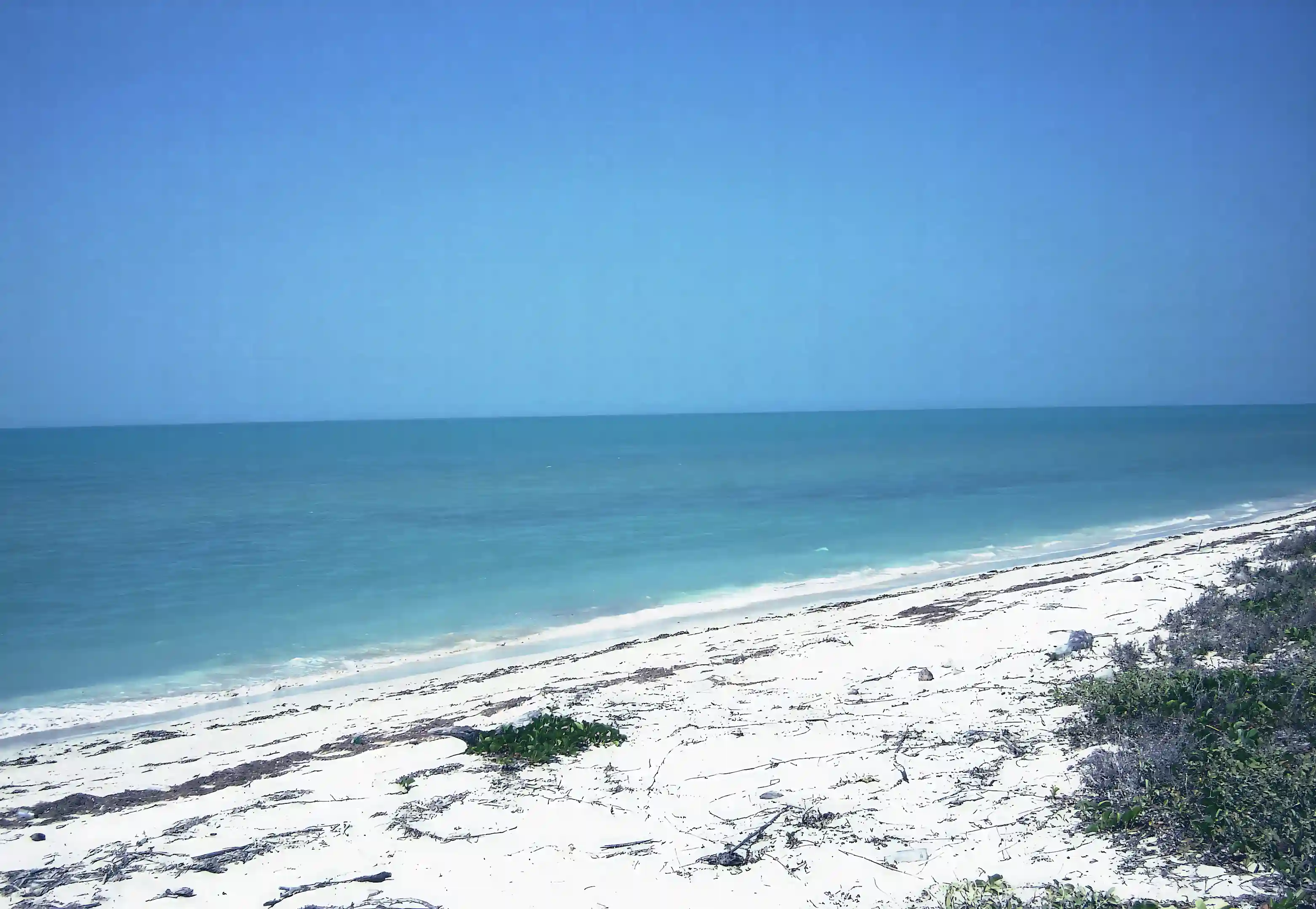 99k Beachfront Lot for Sale in Campeche, Isla Aguada, Campeche, Mexico