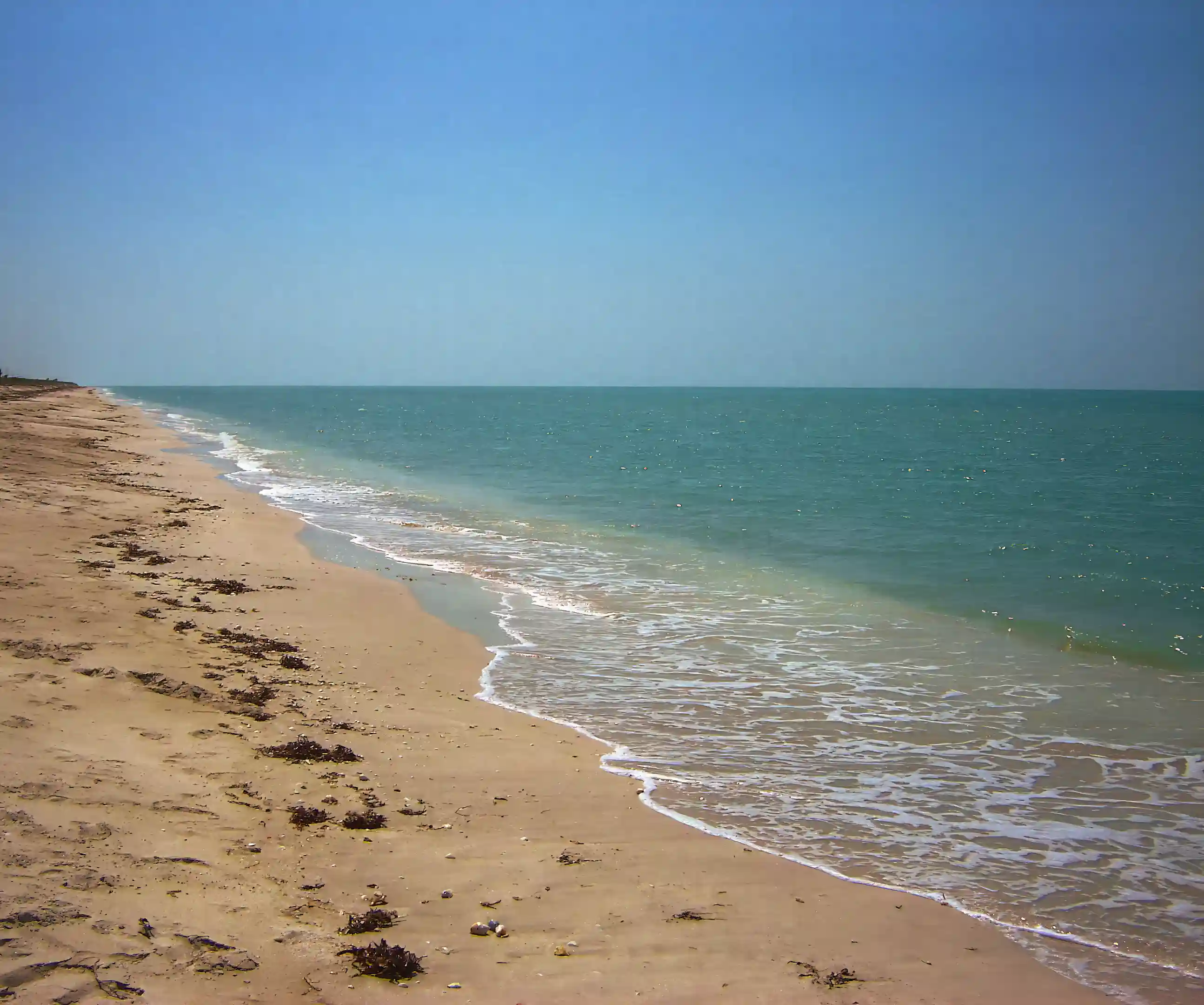 99k Beachfront Lot for Sale in Campeche, Isla Aguada, Campeche, Mexico Viviun