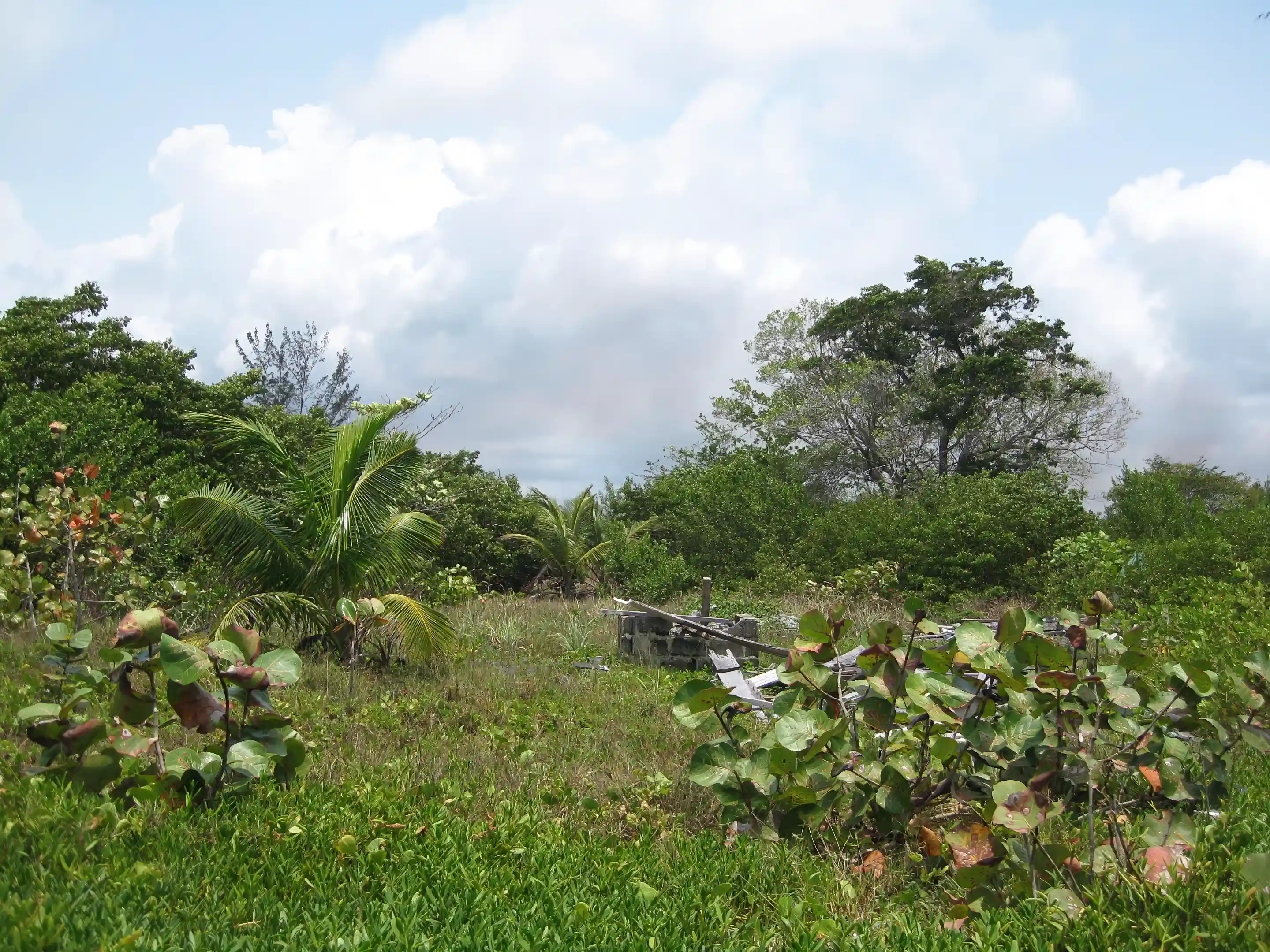 Raw Land for Sale in Belize Viviun