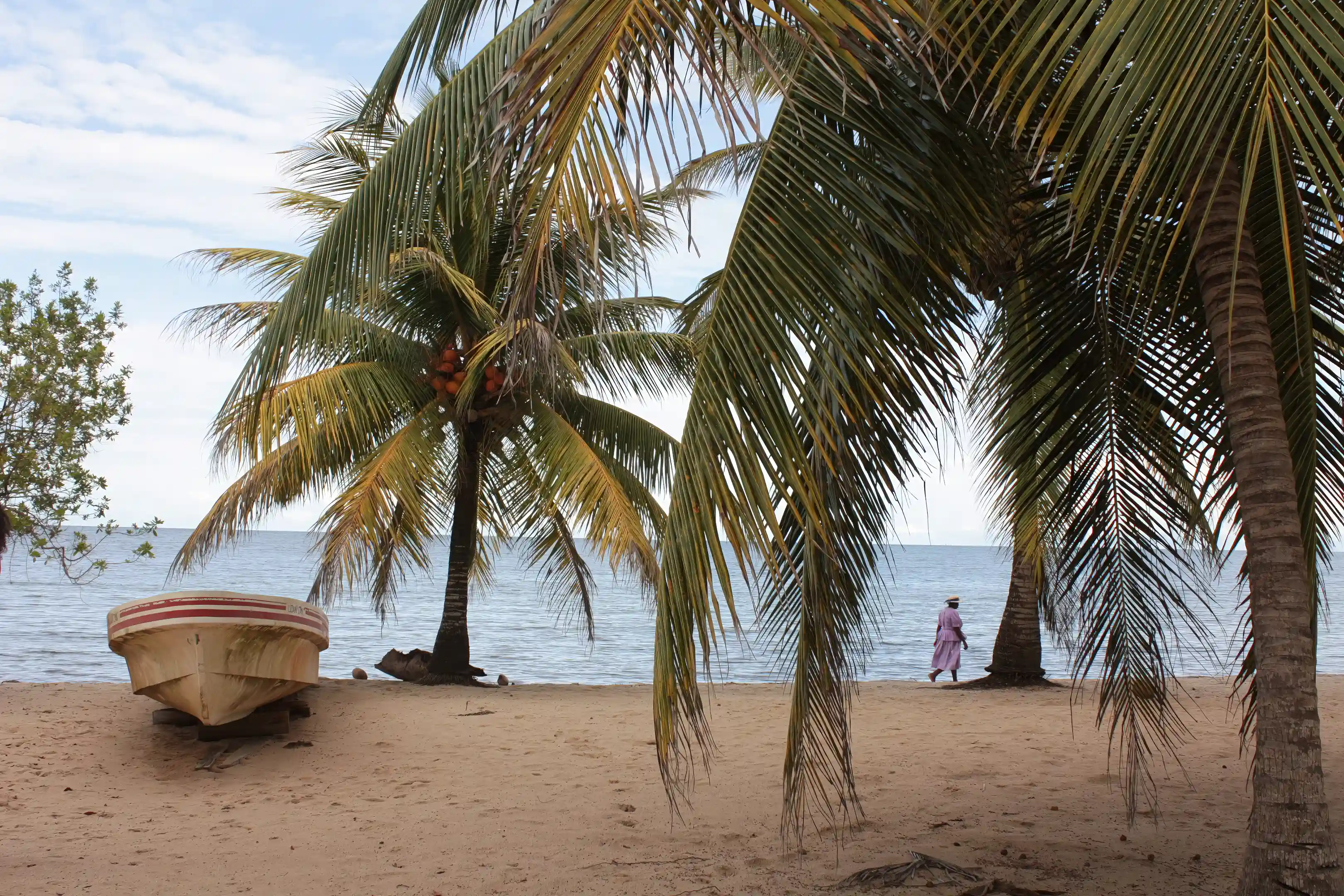 Raw Land for Sale in Belize