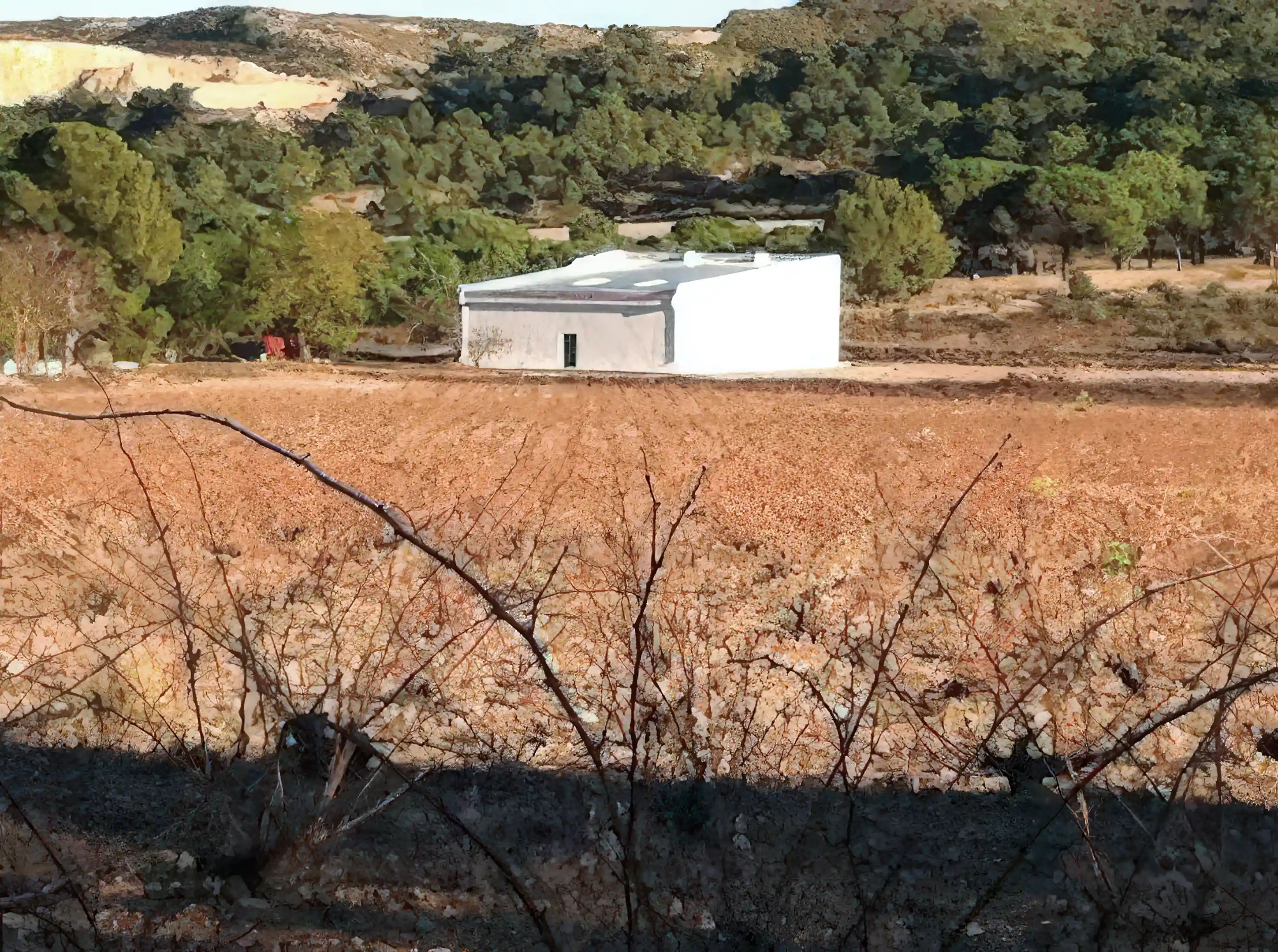 pidgeon house and vineyards