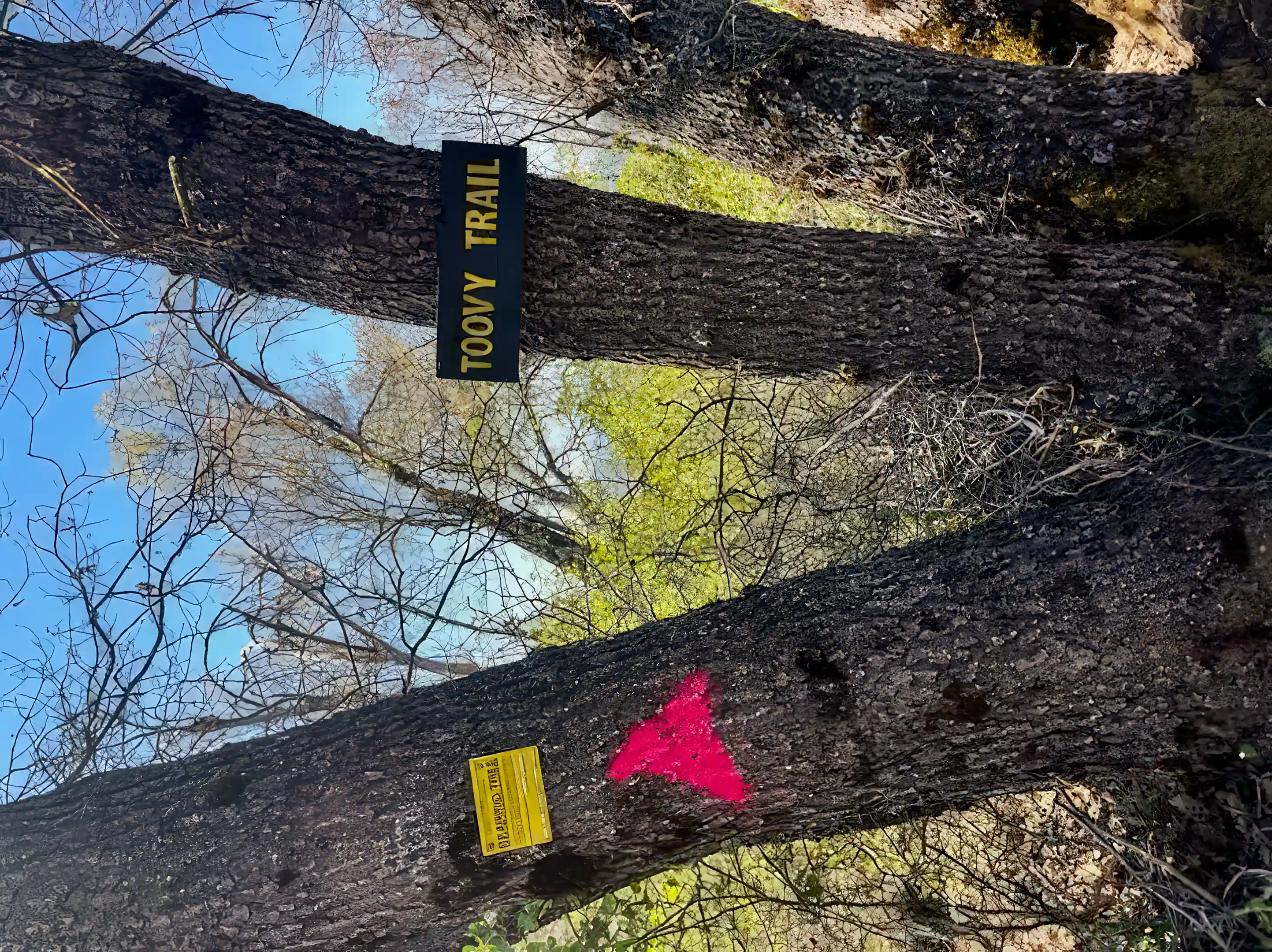 Recreational Land for Sale in 44138 E Kings Canyon Rd, Kings Canyon