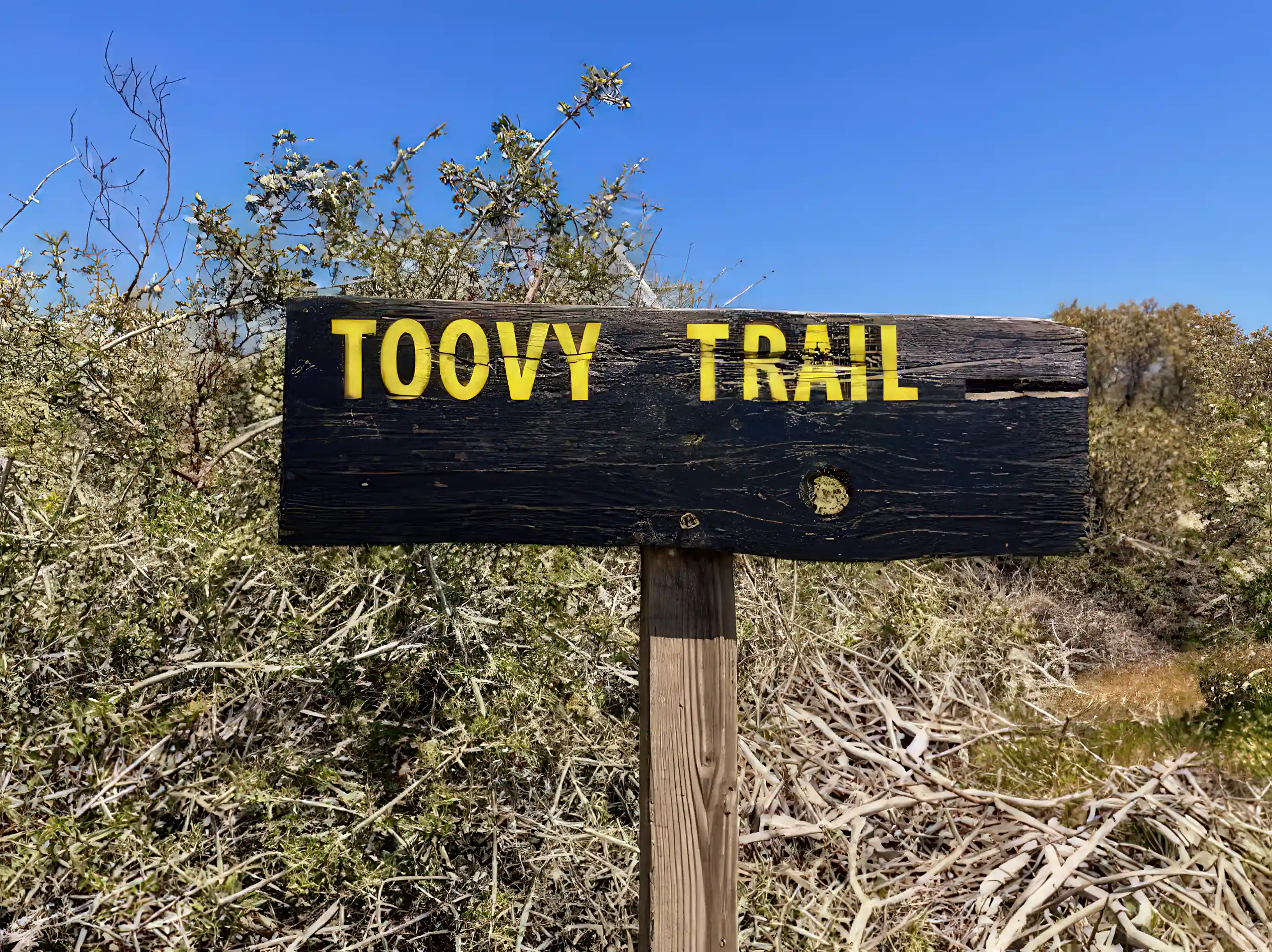 Many hiking trails and future camp sites