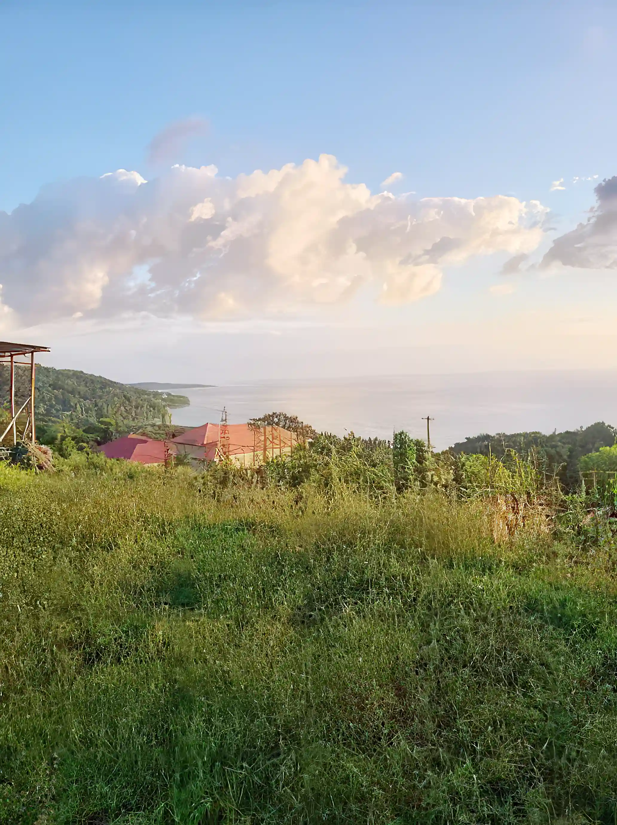 Ocean View Lot for Sale in Westmoreland, Jamaica