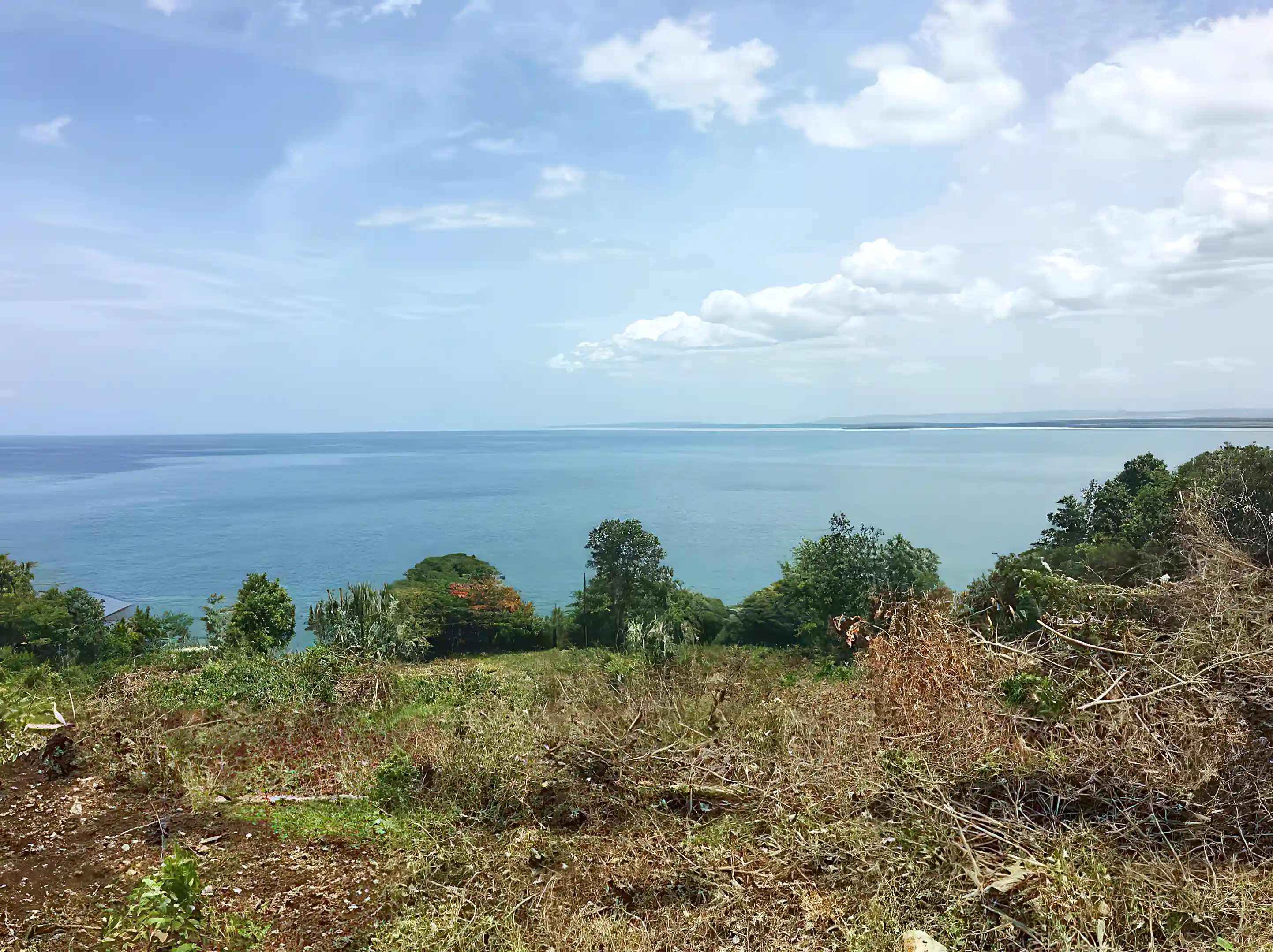 Ocean View Subdivision Development for Sale in Westmoreland, Jamaica