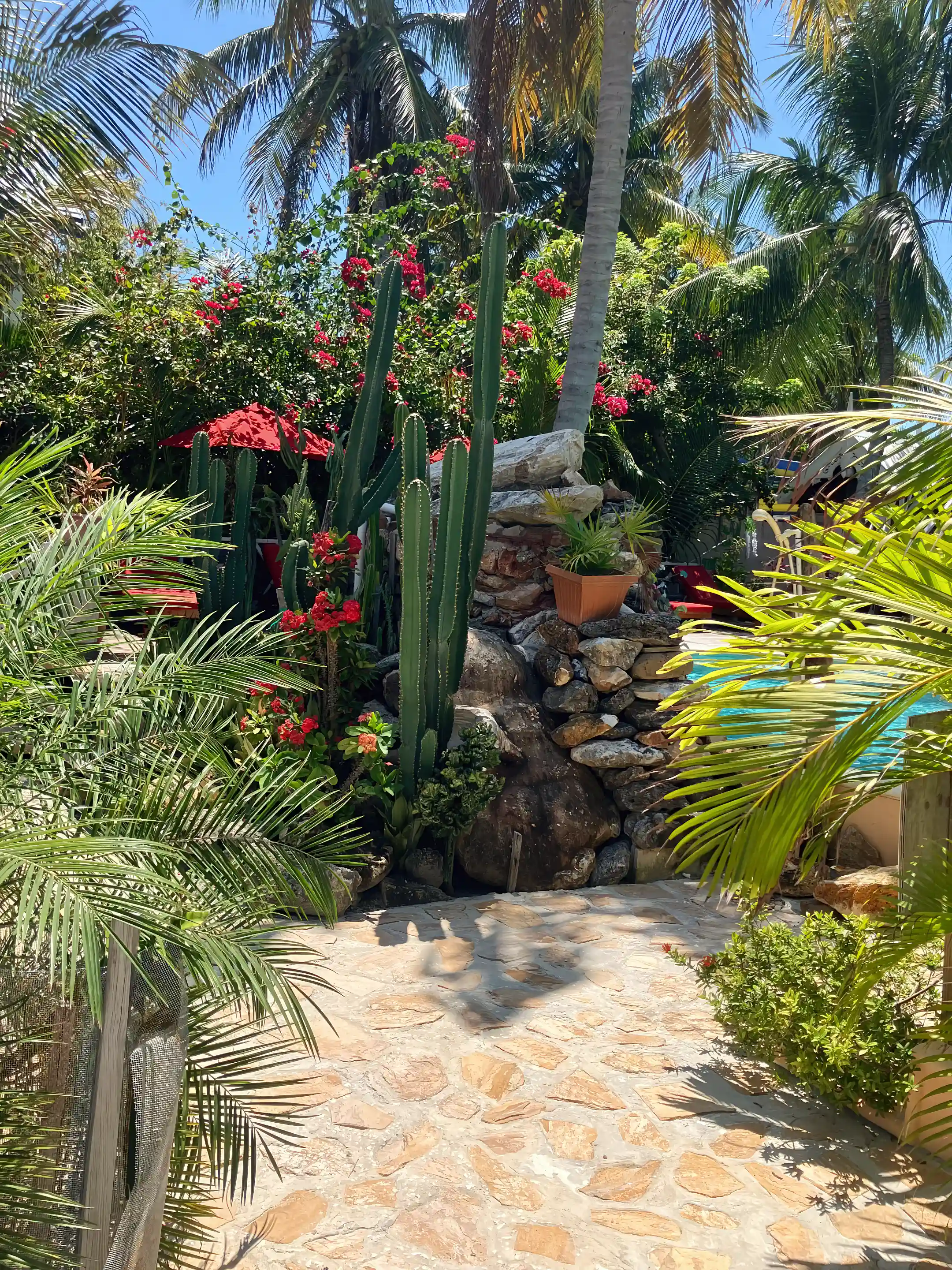 Abundance of Flowers and Fauna surround the property