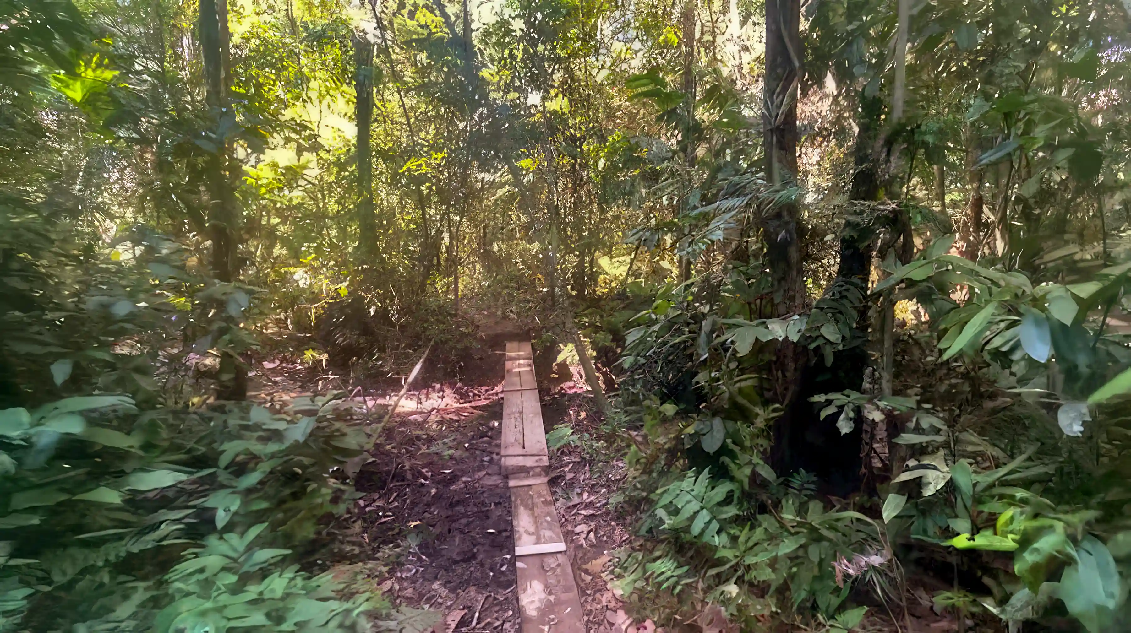 Trails at the property