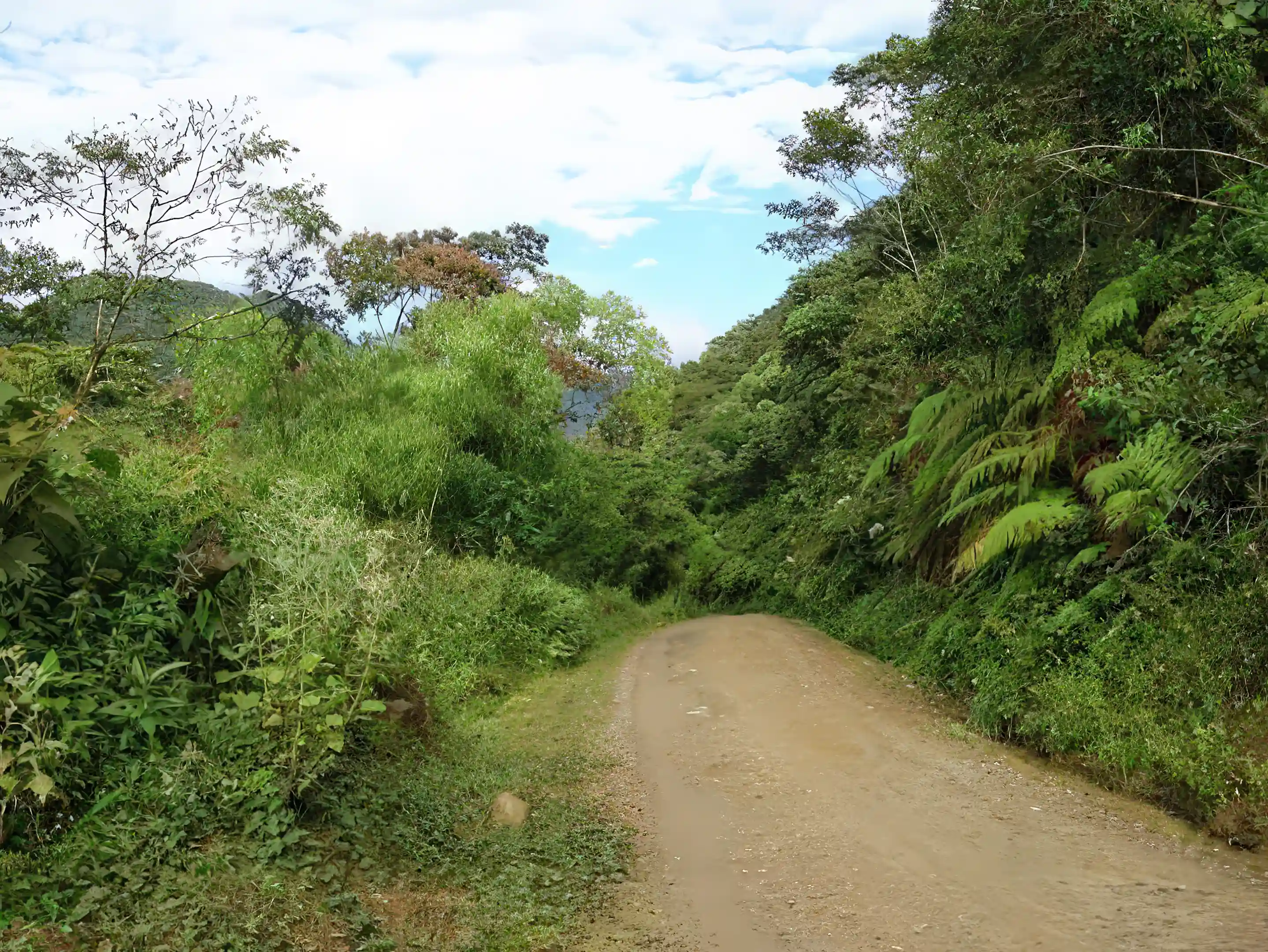 Amazon Rainforest Land for Sale in Manu, De Dios, Peru