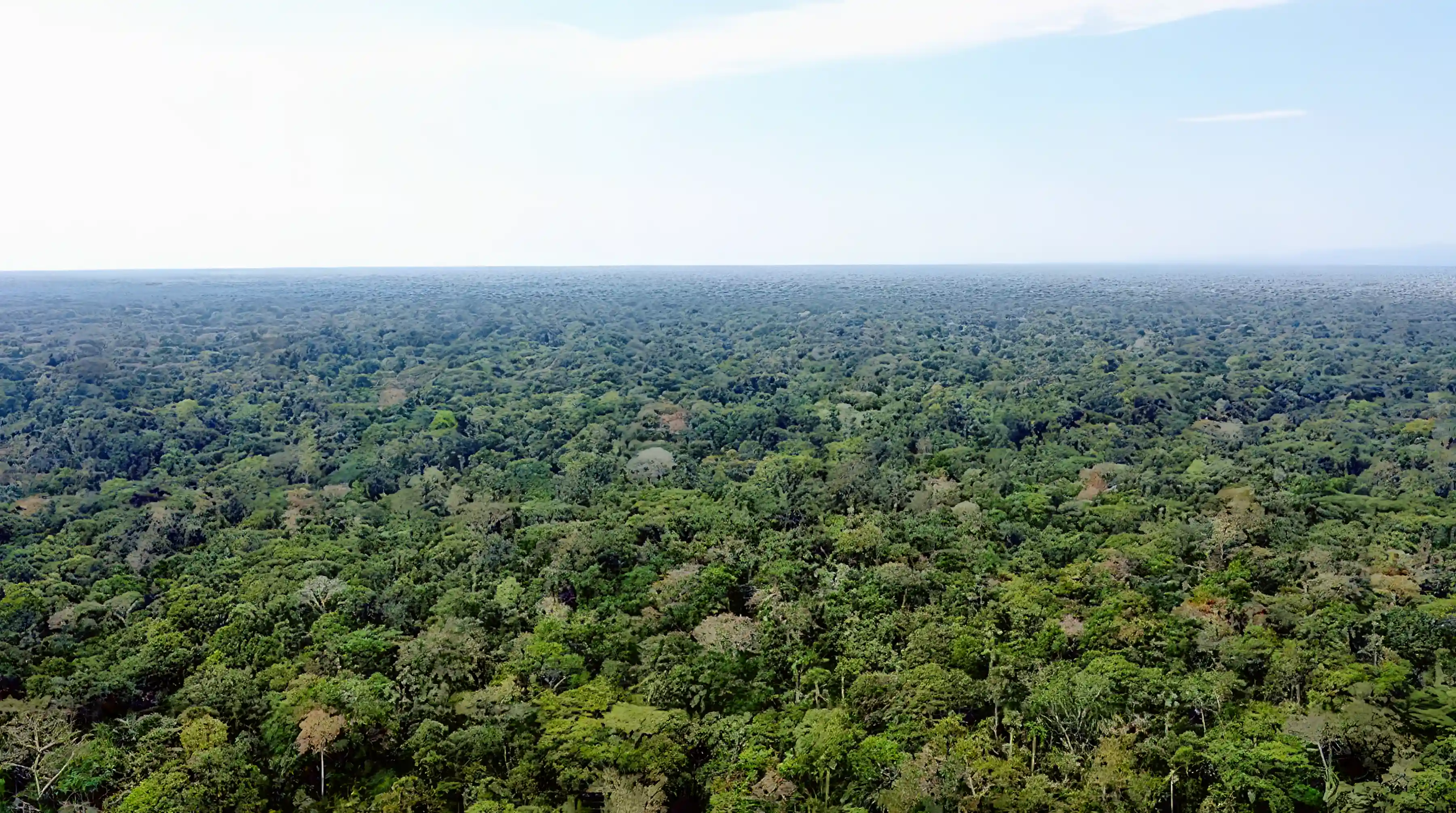 Amazon Rainforest Land for Sale in Manu, Cusco-Madre De Dios, Peru