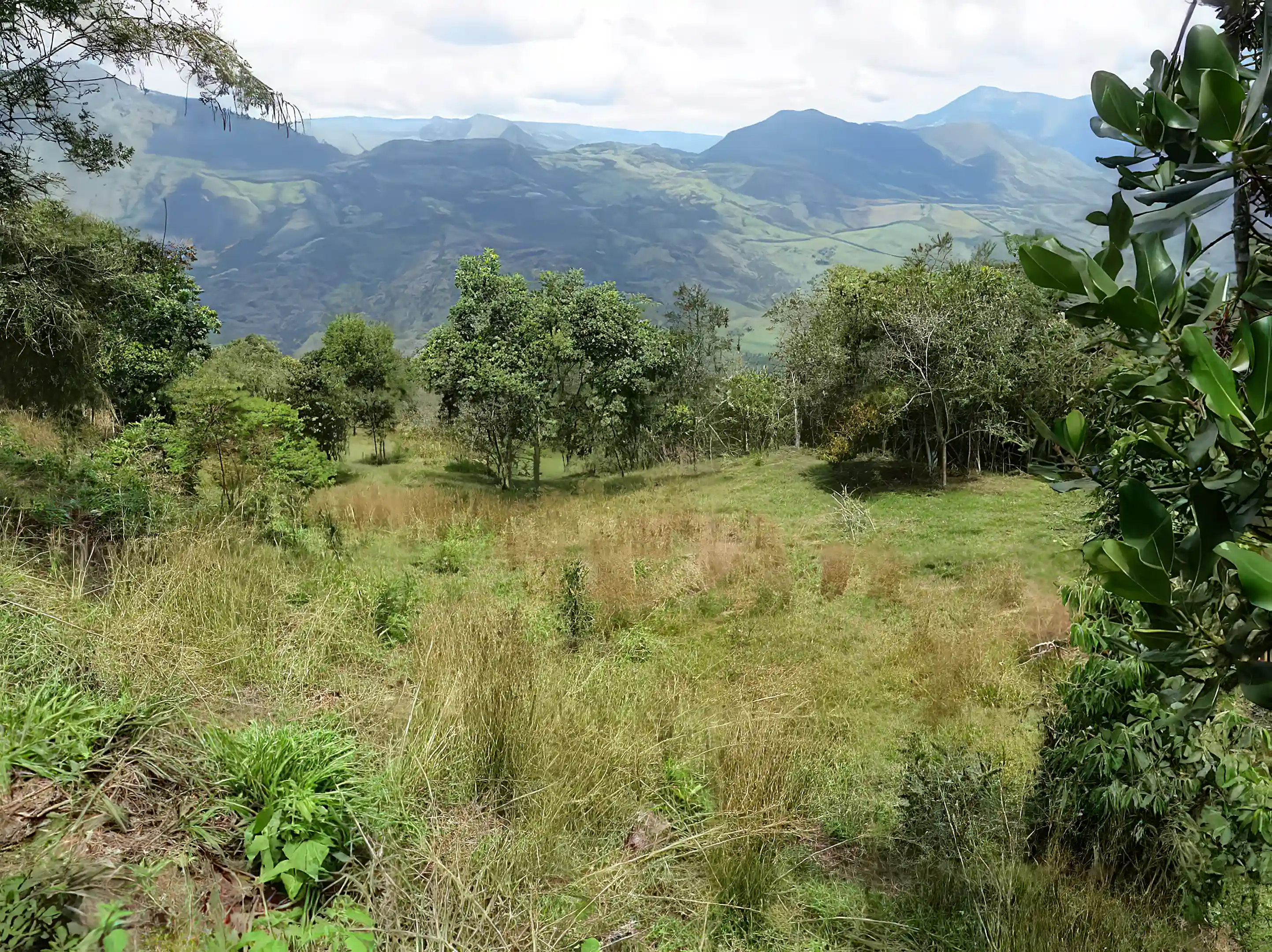Land for Sale in Vereda Santa Barbara, Quebradanegra, Cundinamarca, Colombia