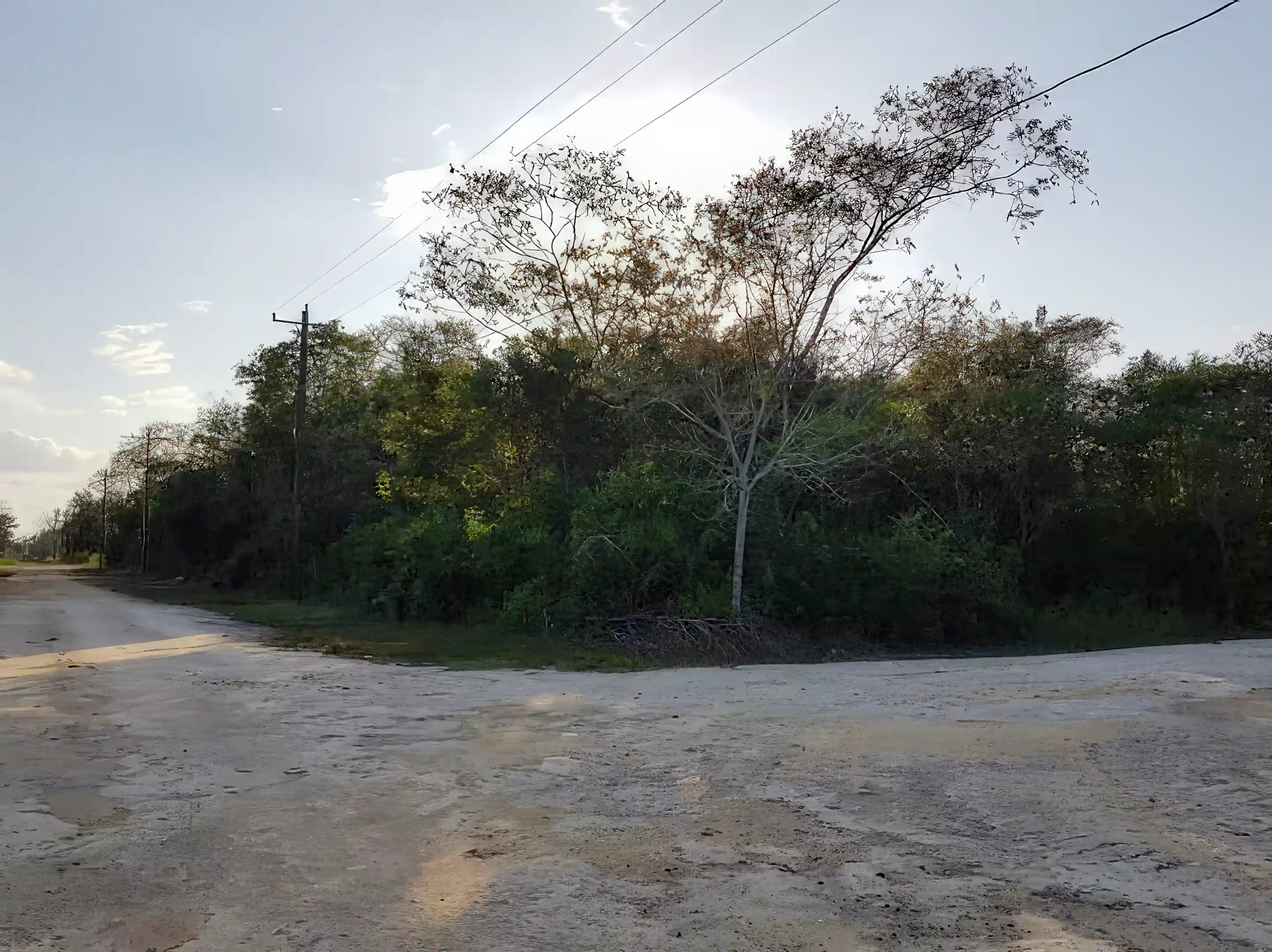 Lot/Land for Sale in Serenity Road, Corozal, Belize