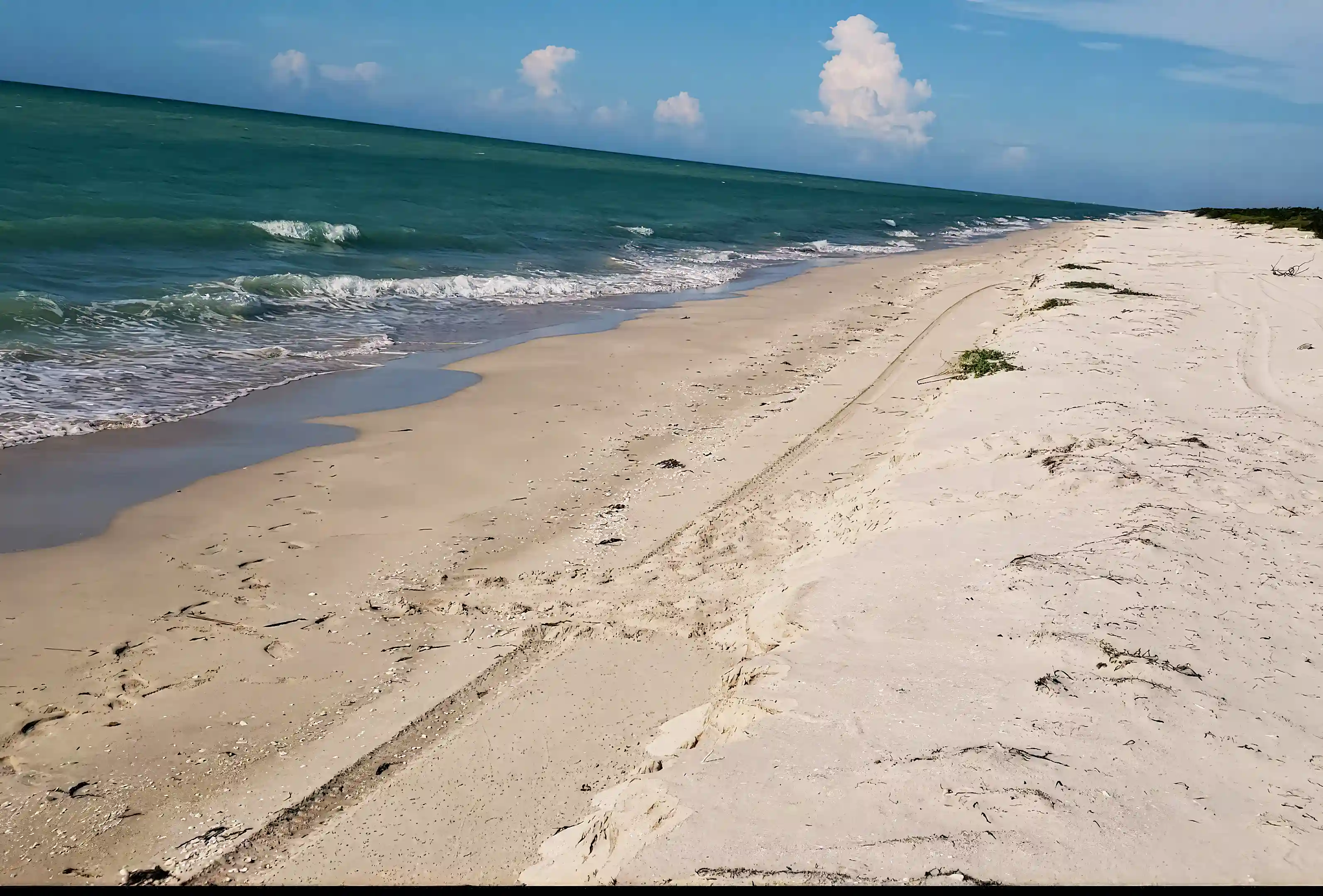 Beachfront Lots for Sale in Sabancuy, Yucatan, Mexico