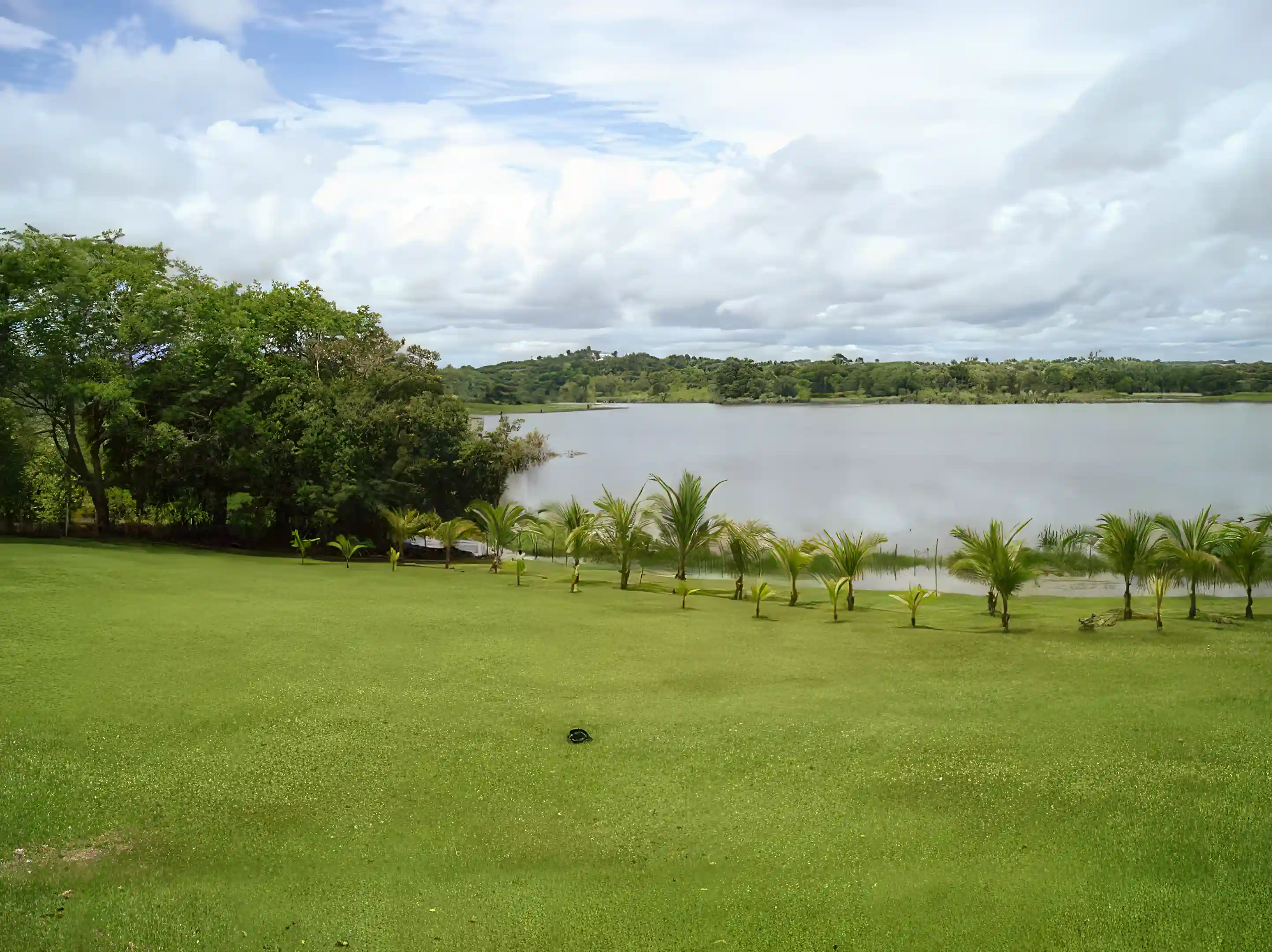 Waterfront Lot for Sale and Rent in District of Chorrera, West Panama, Panama