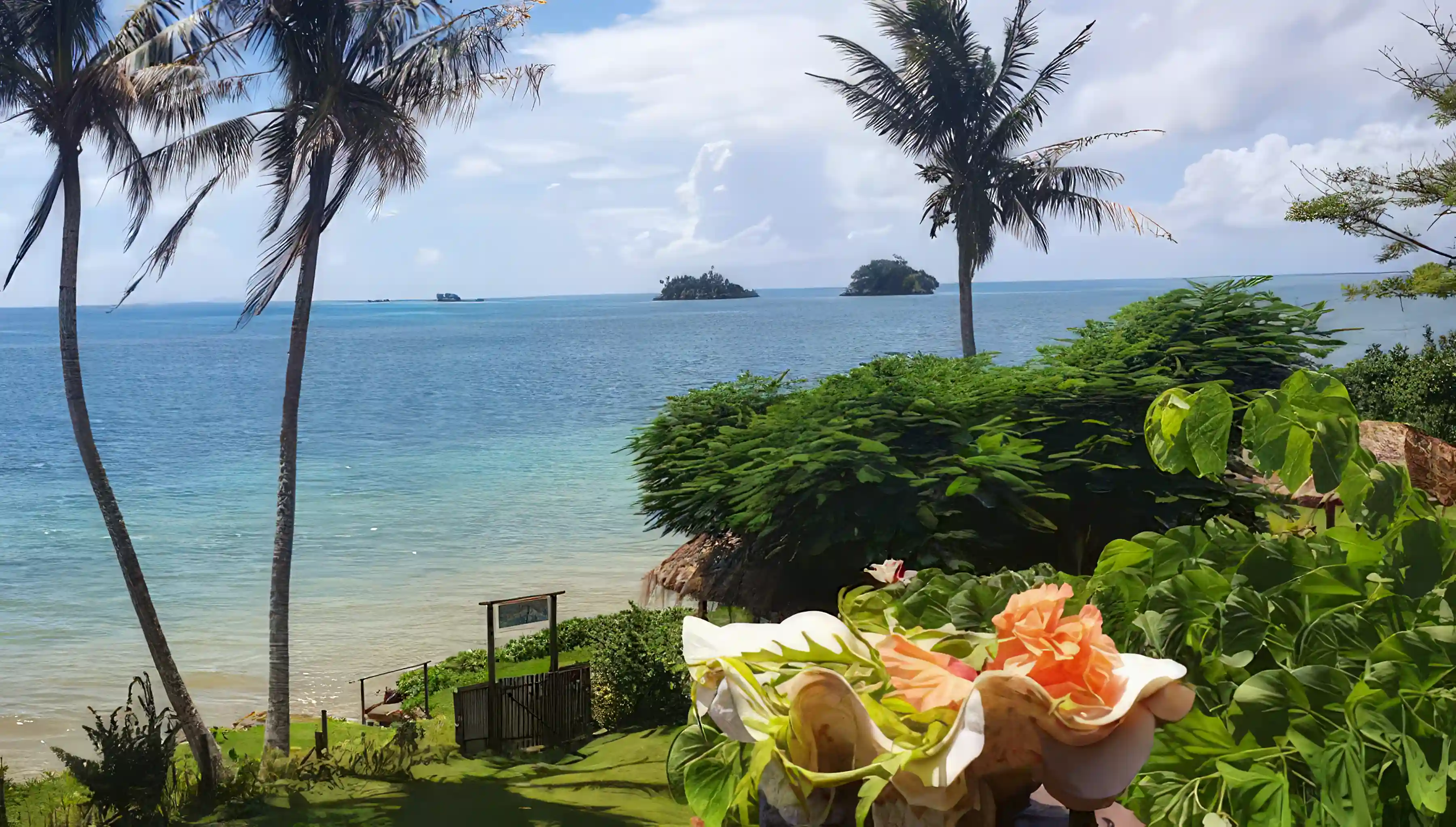 This is the view from the verandah