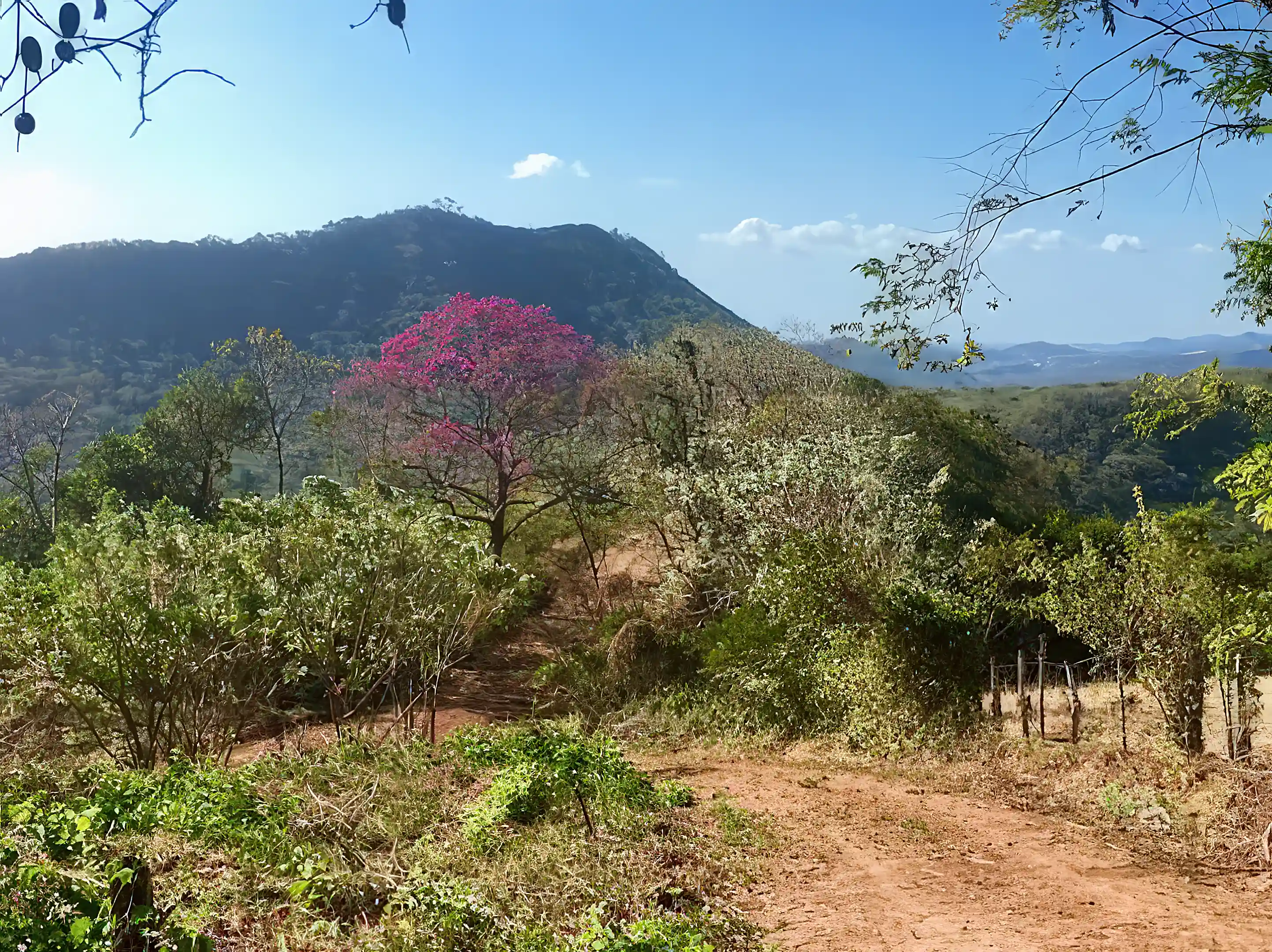 Lot for Sale in Arriba De El Carizal, San Juan Del Sur, Departamento De Rivas, Nicaragua