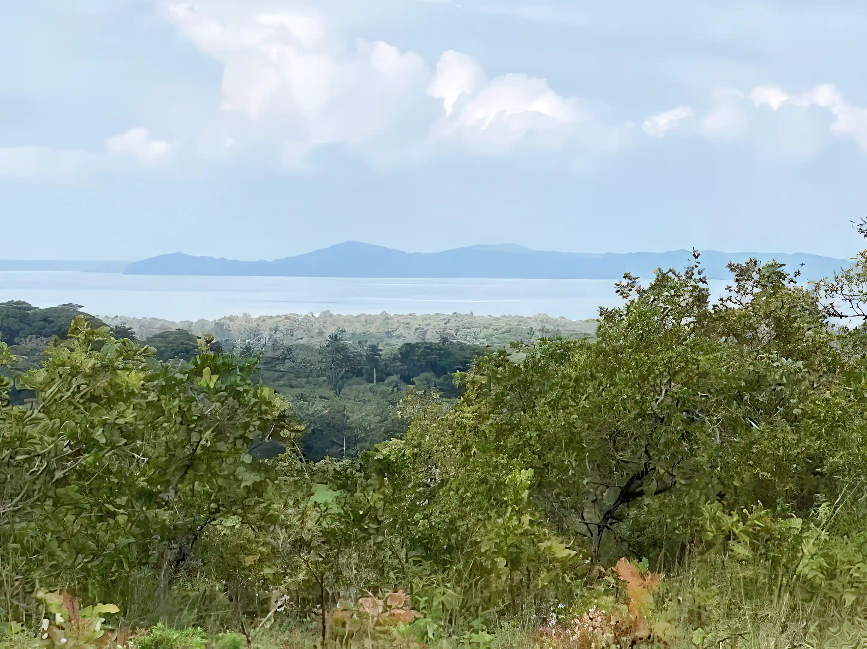 Ocean View Land for Sale in Boca Chica, Chiriqui, Panama