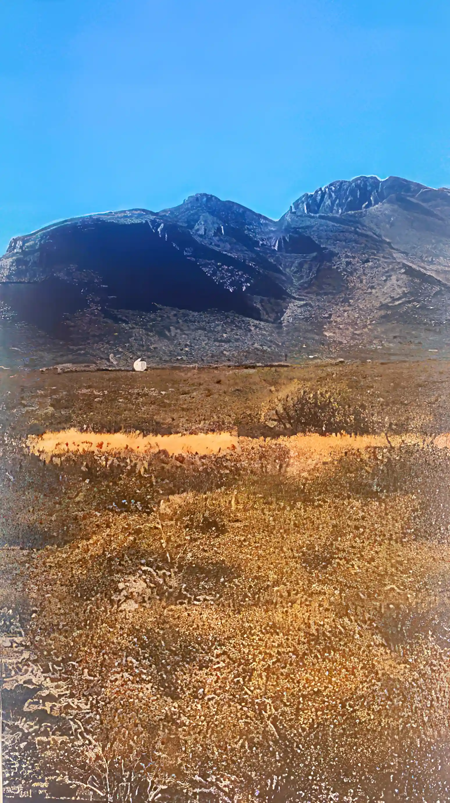 Cattle Ranch for Sale in Villa Ahumada, Chihuahua, Mexico