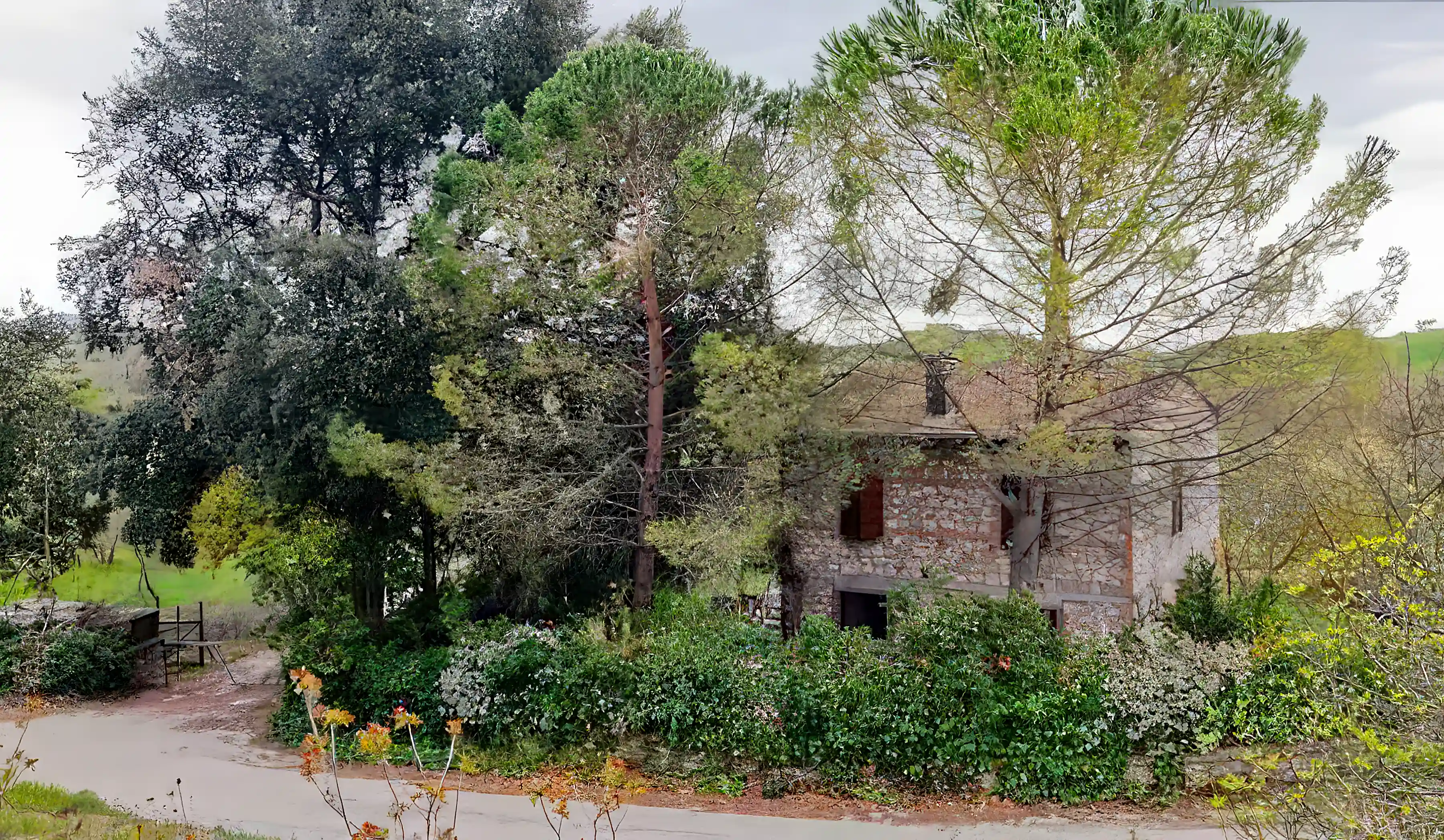 Tuscan Stone Farmhouse for Sale in Siena, Italy