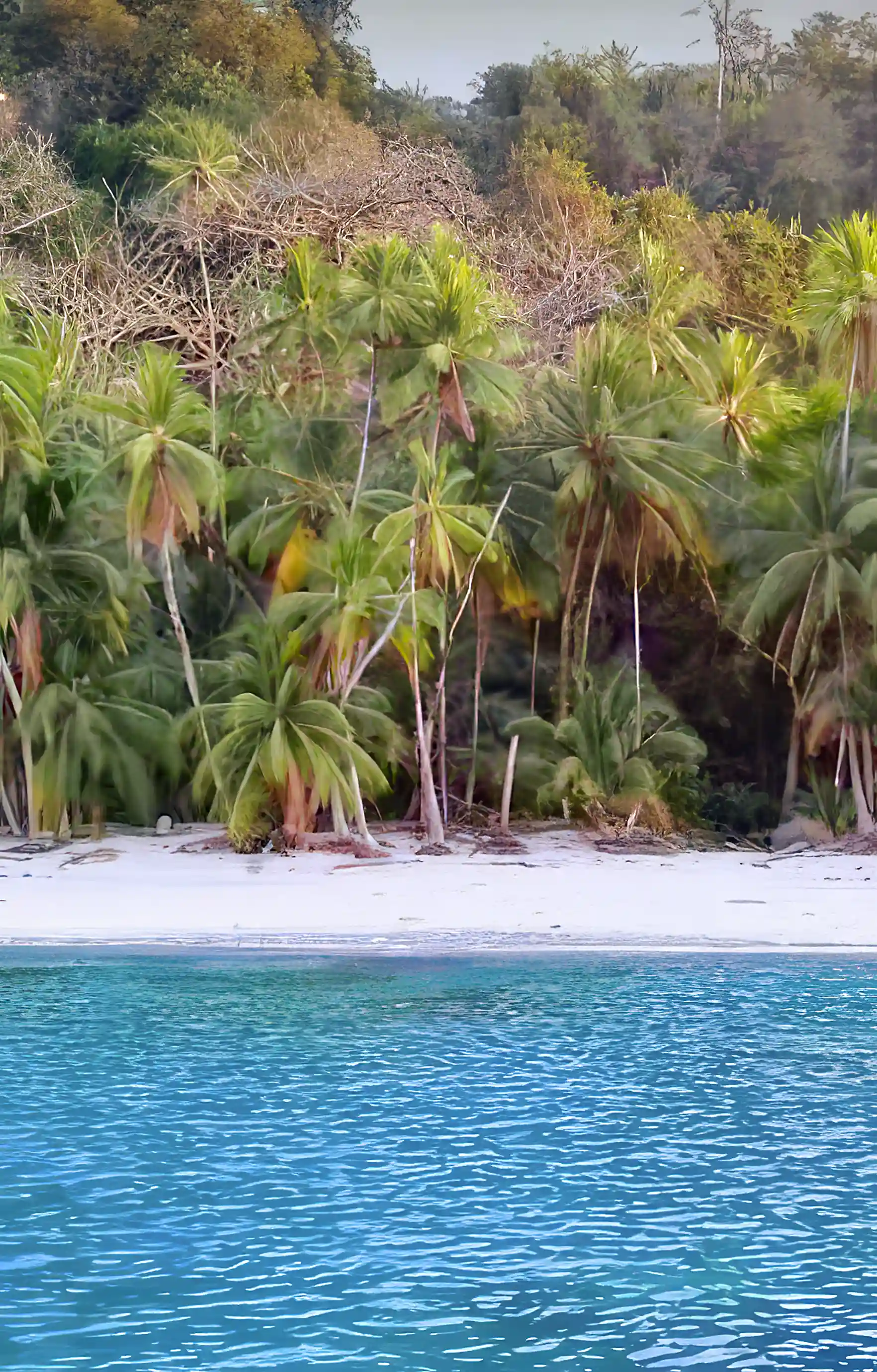 Beachfront for Sale in Playa Banca, Veraguas, Panama