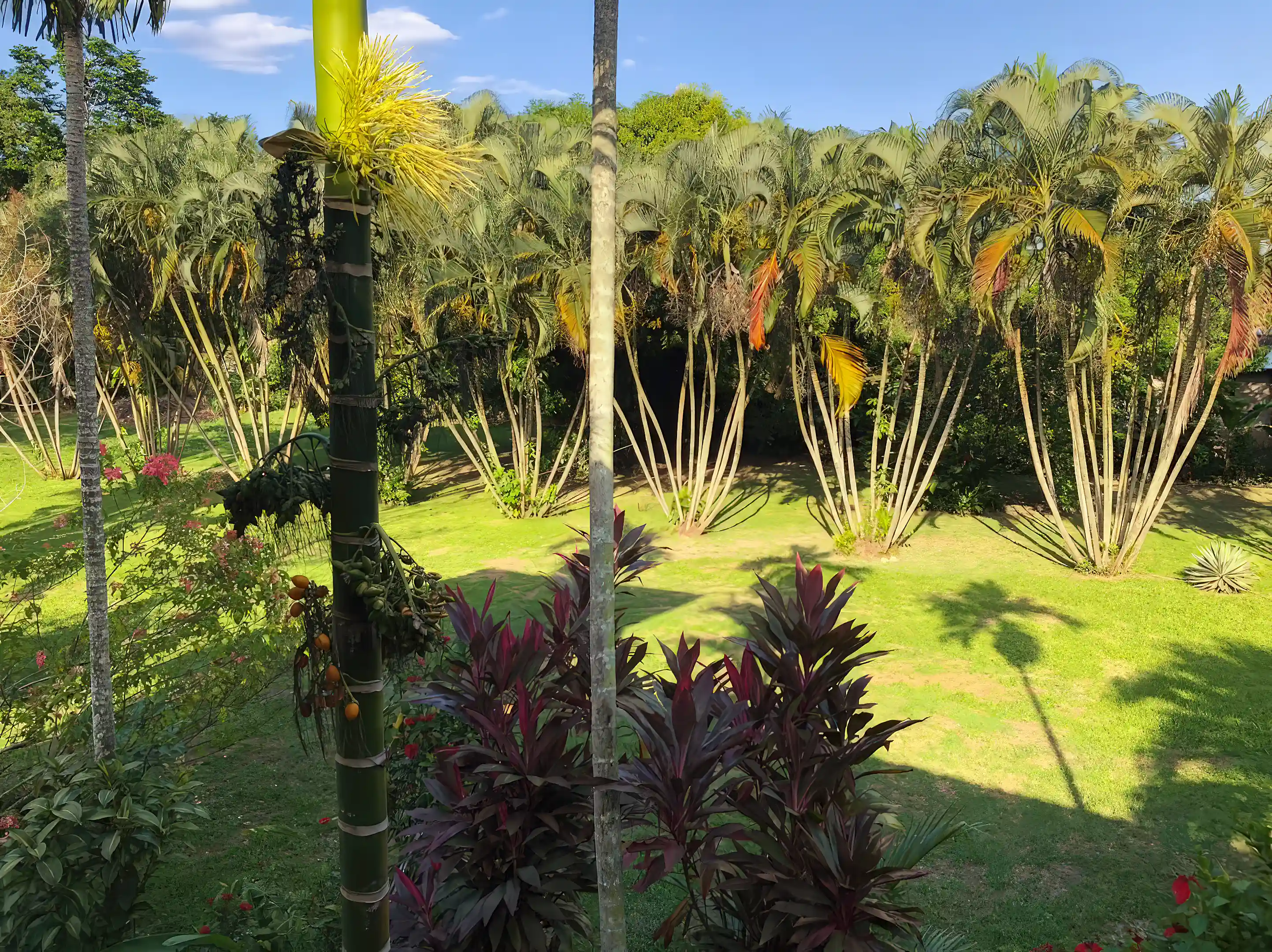 Yard Photo