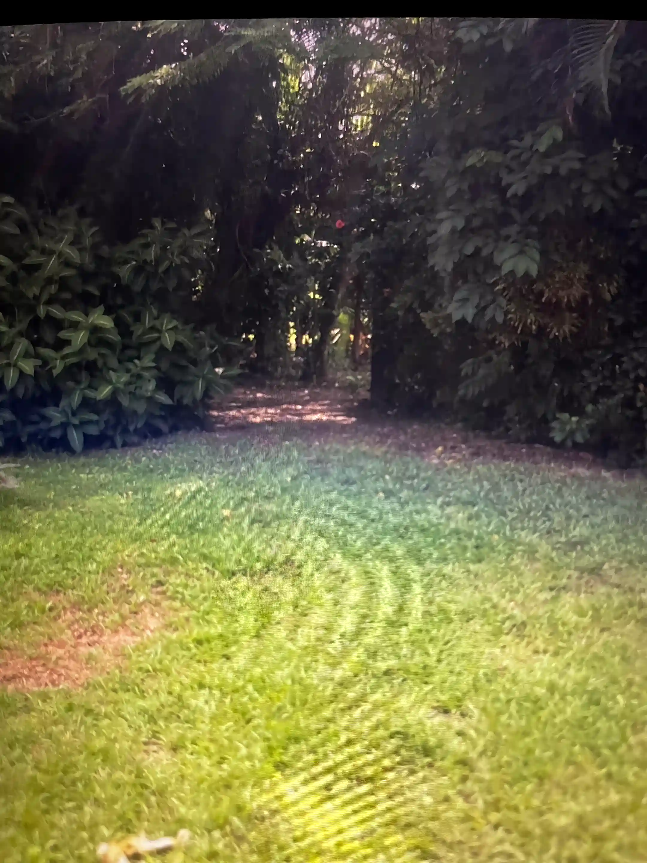 Gate Entry
