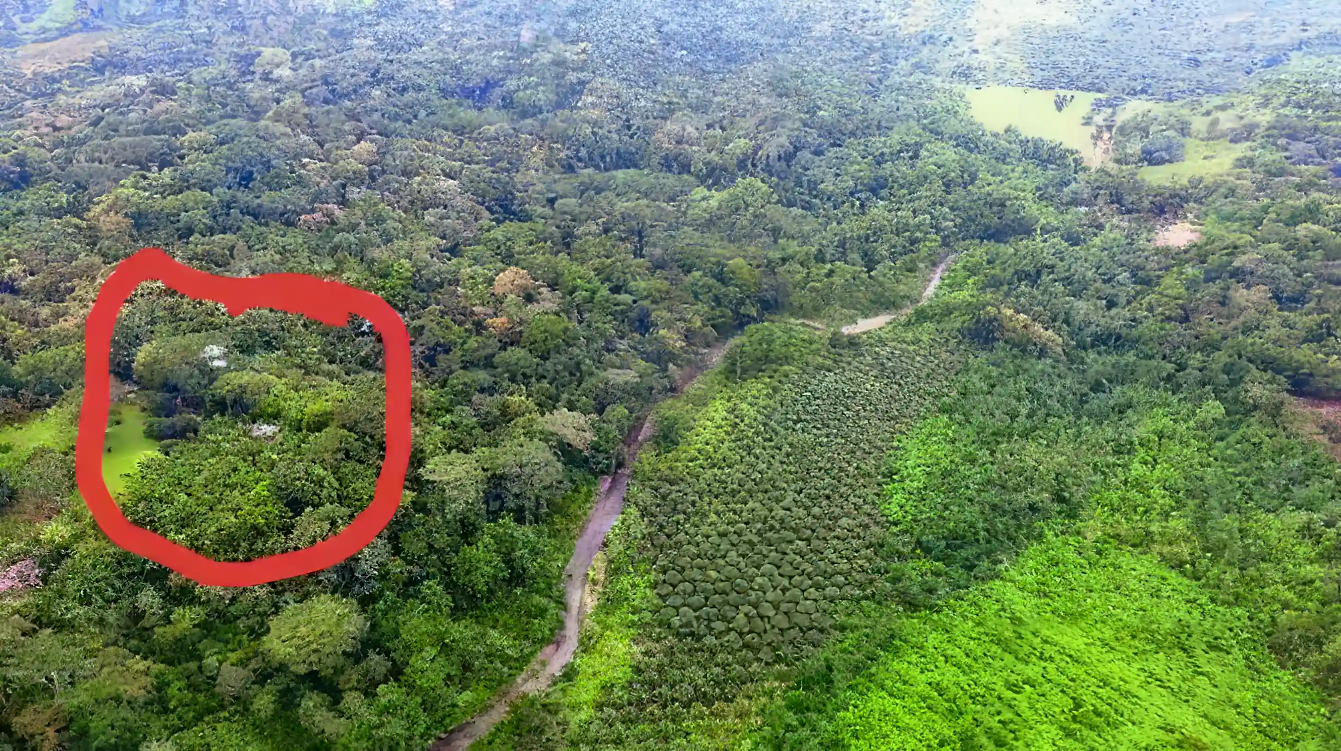 Mountain/Ocean View Property for Sale in Osa Peninsula, Puerto Jimenez