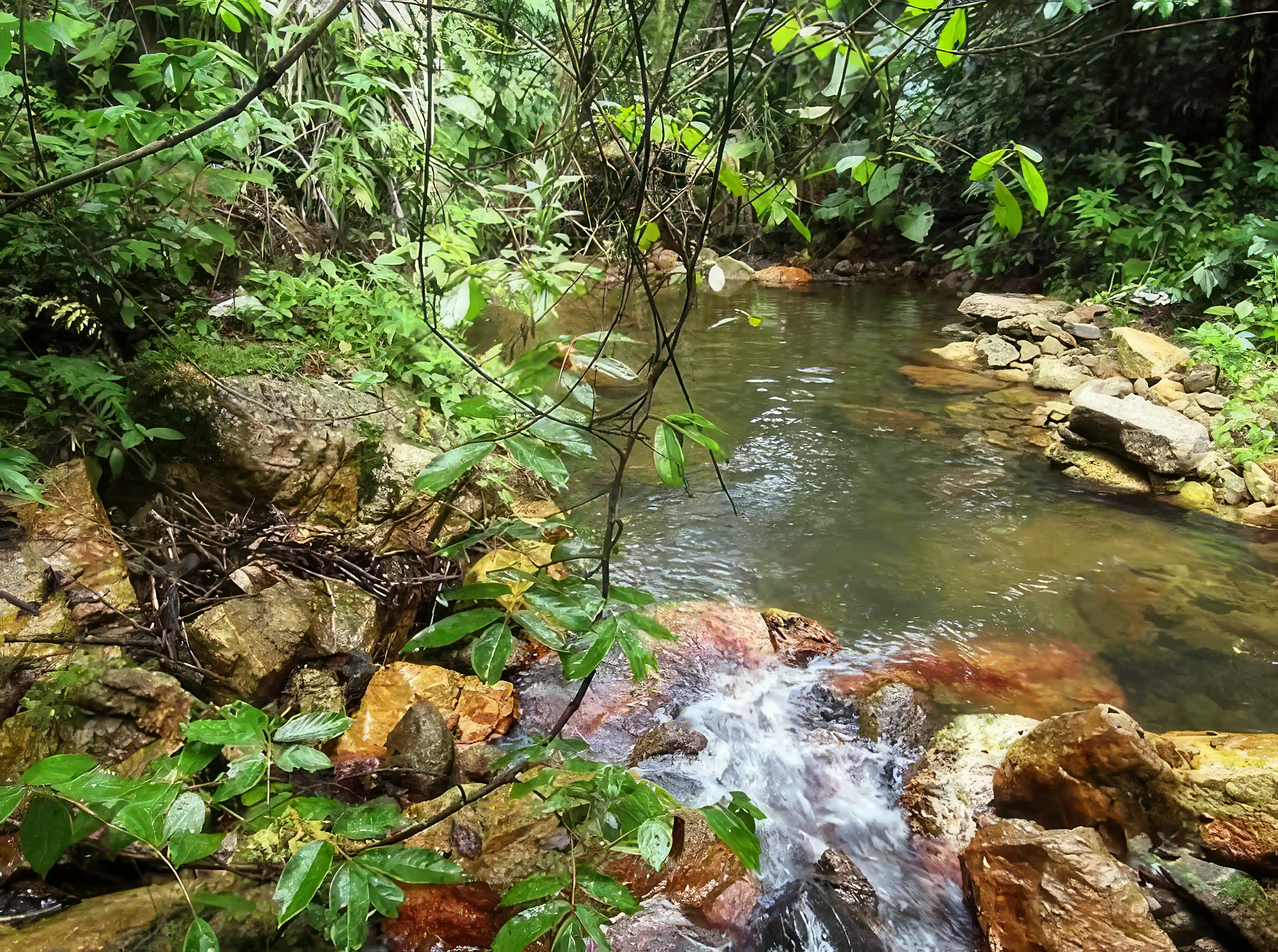 Land for Sale in Mayan Mountains, City of Belmopan, Belize
