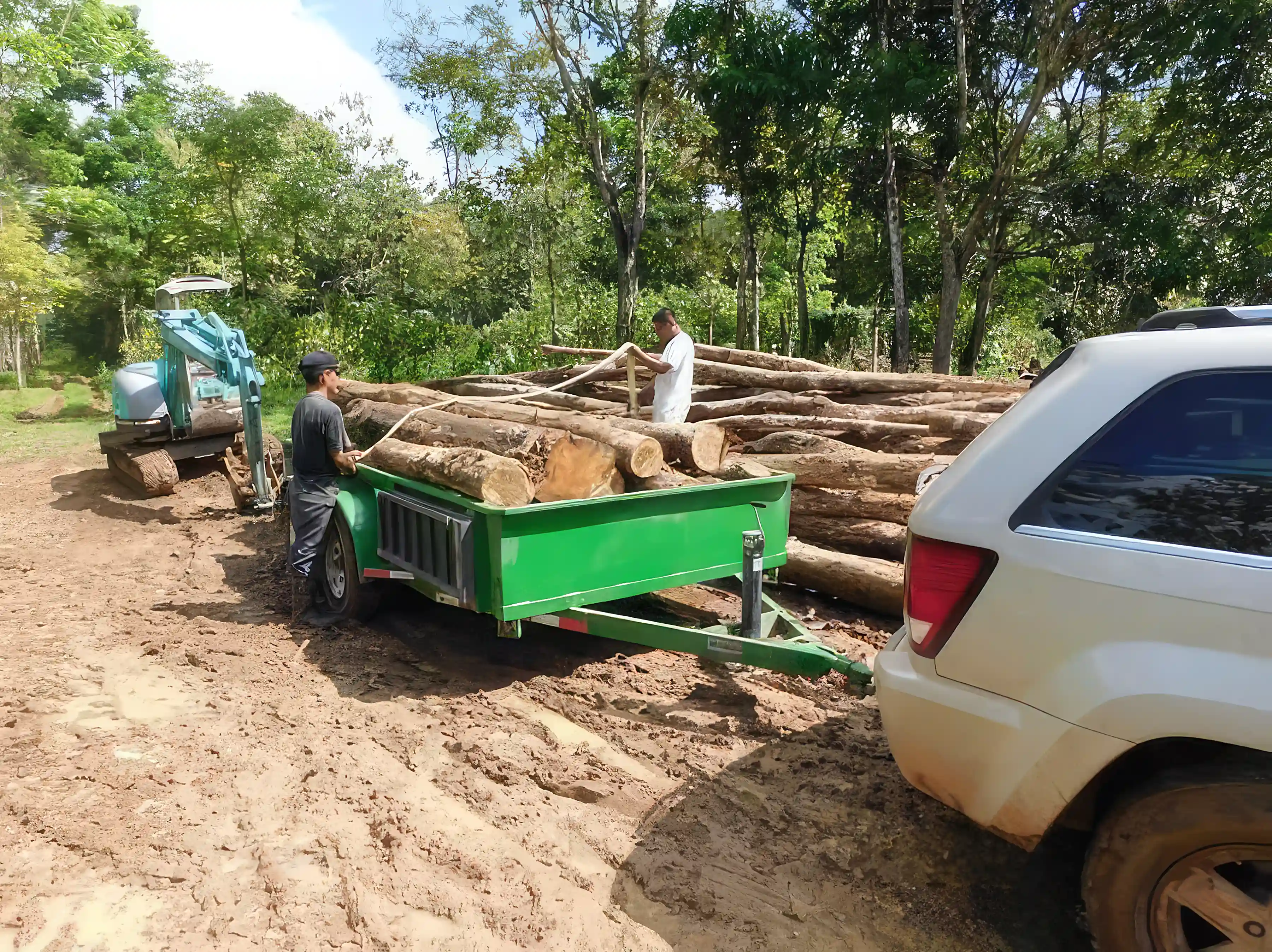 Teak & Cacao Farm for Sale in Punta Gorda, Toledo, Belize