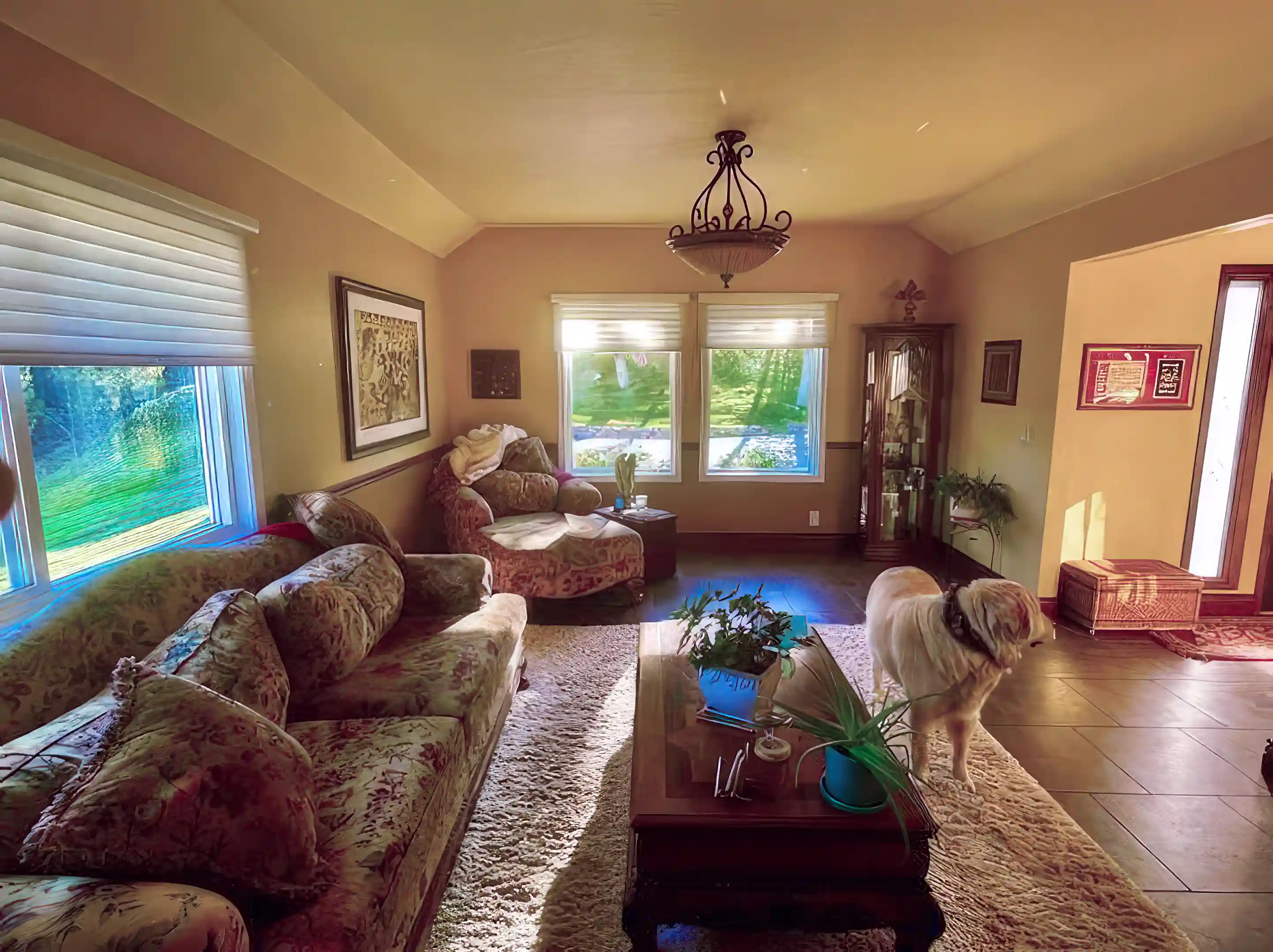 Sitting Room